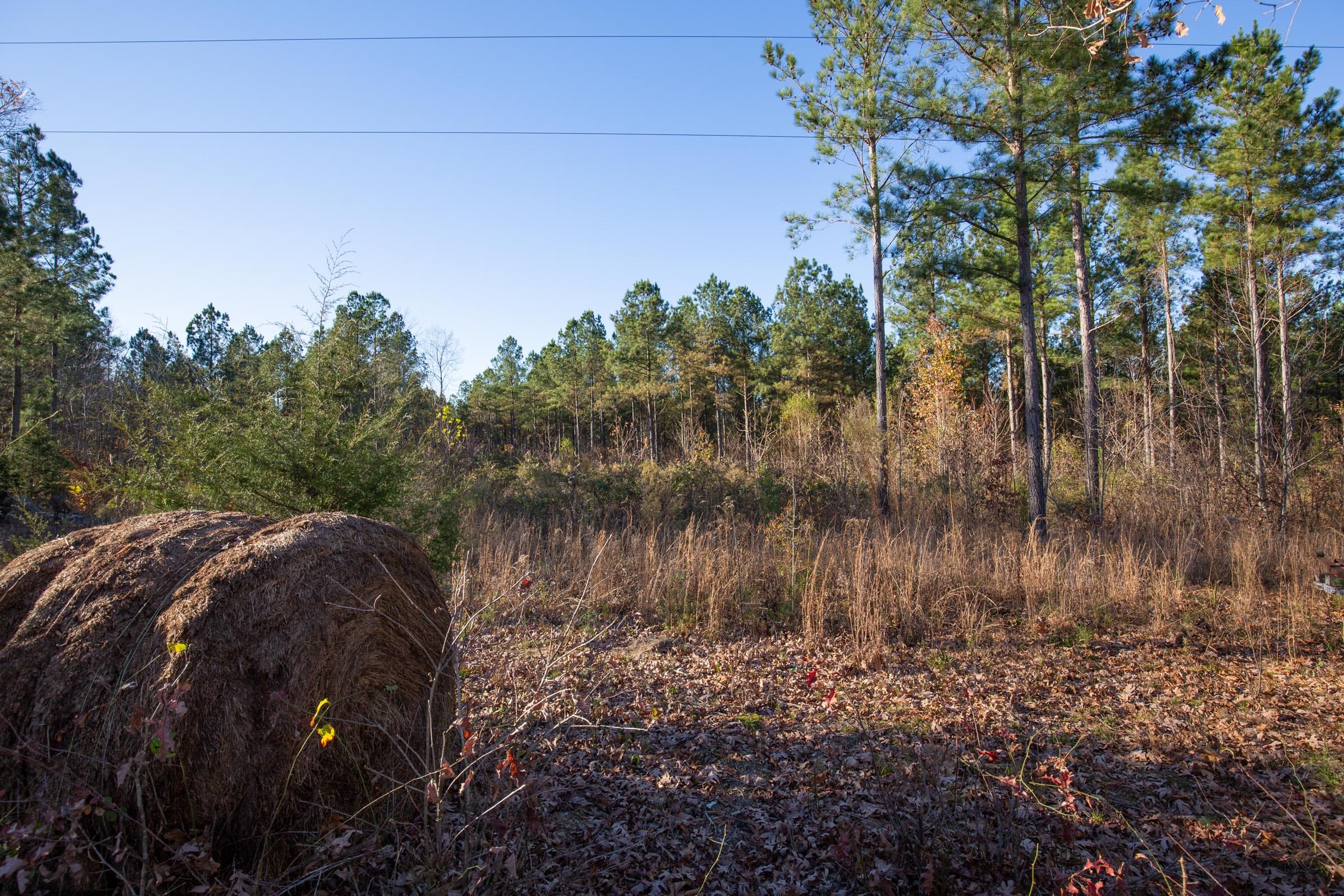 Whetstone Pines Tract 6 photo 4