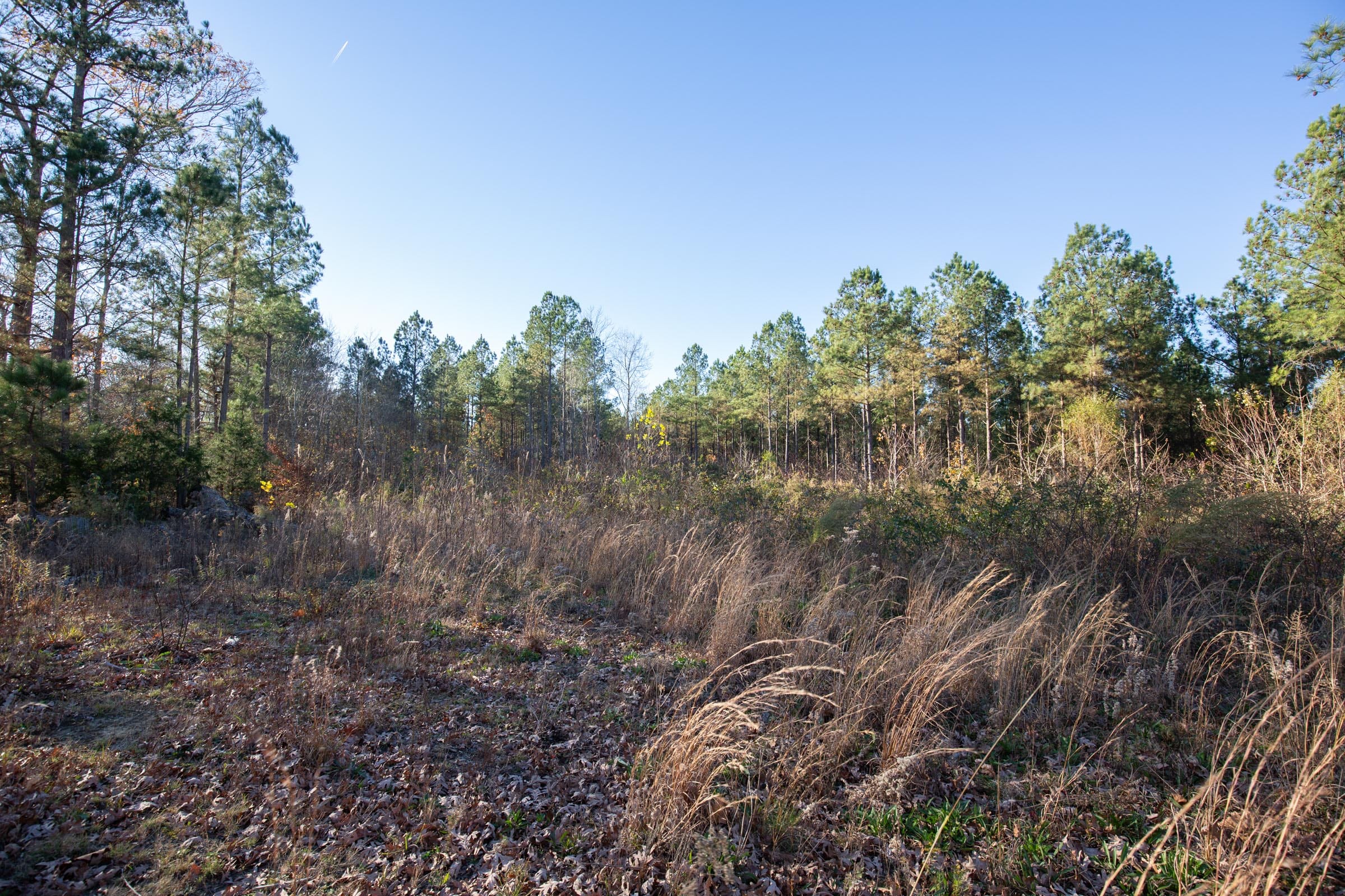 Whetstone Pines Tract 6 photo 1