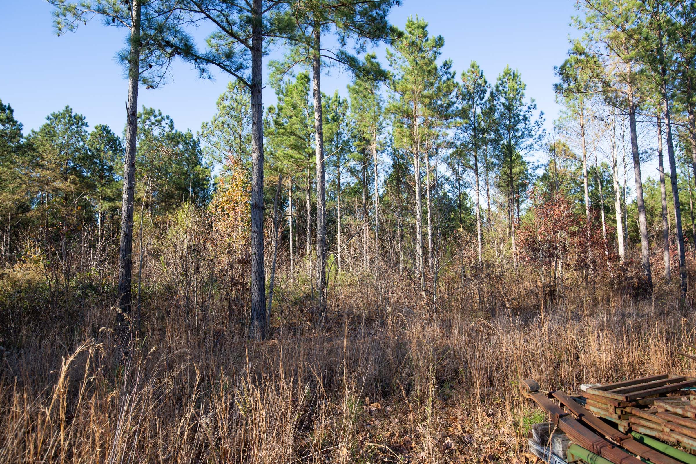 Whetstone Pines Tract 6 photo 7