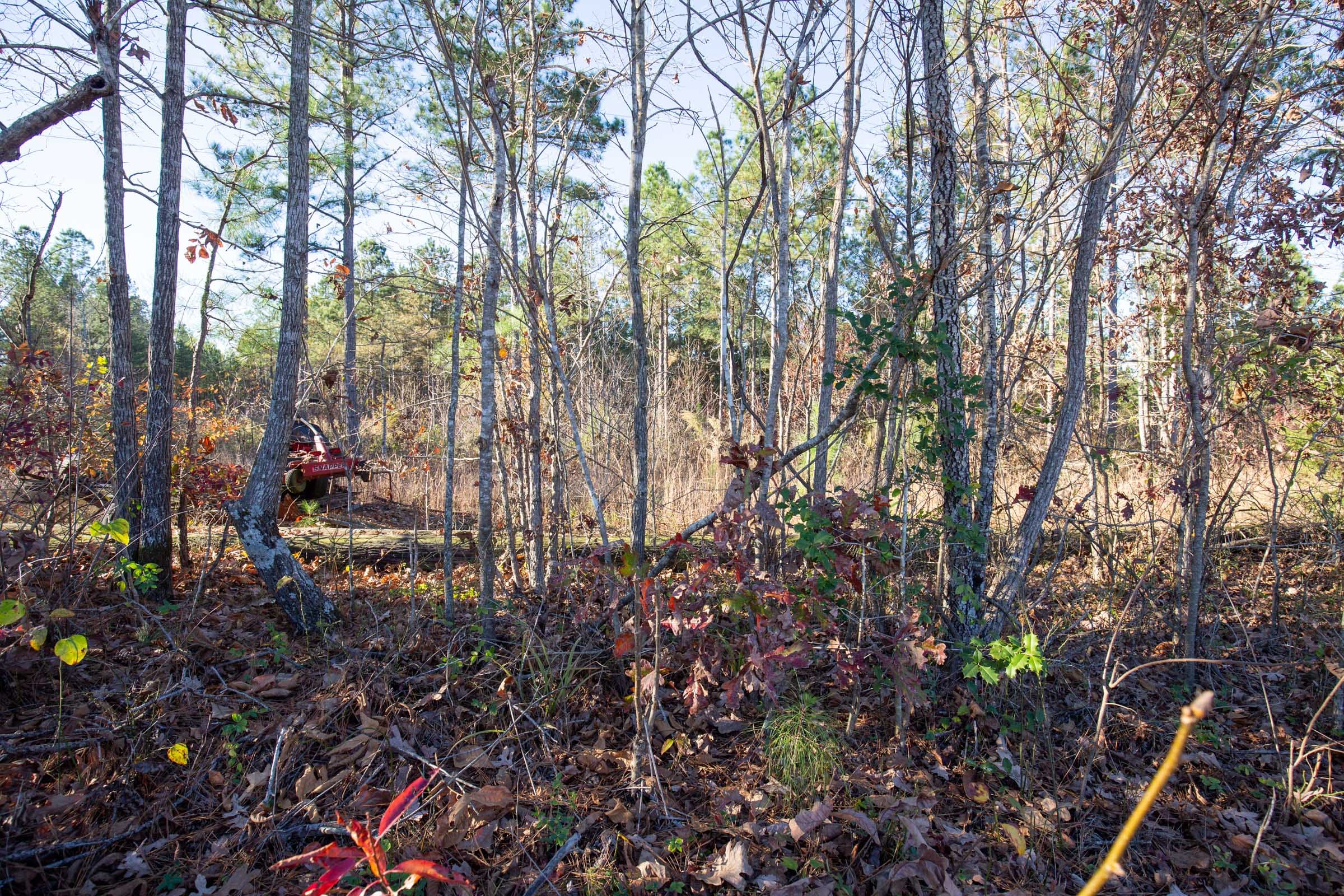 Whetstone Pines Tract 6 photo 9
