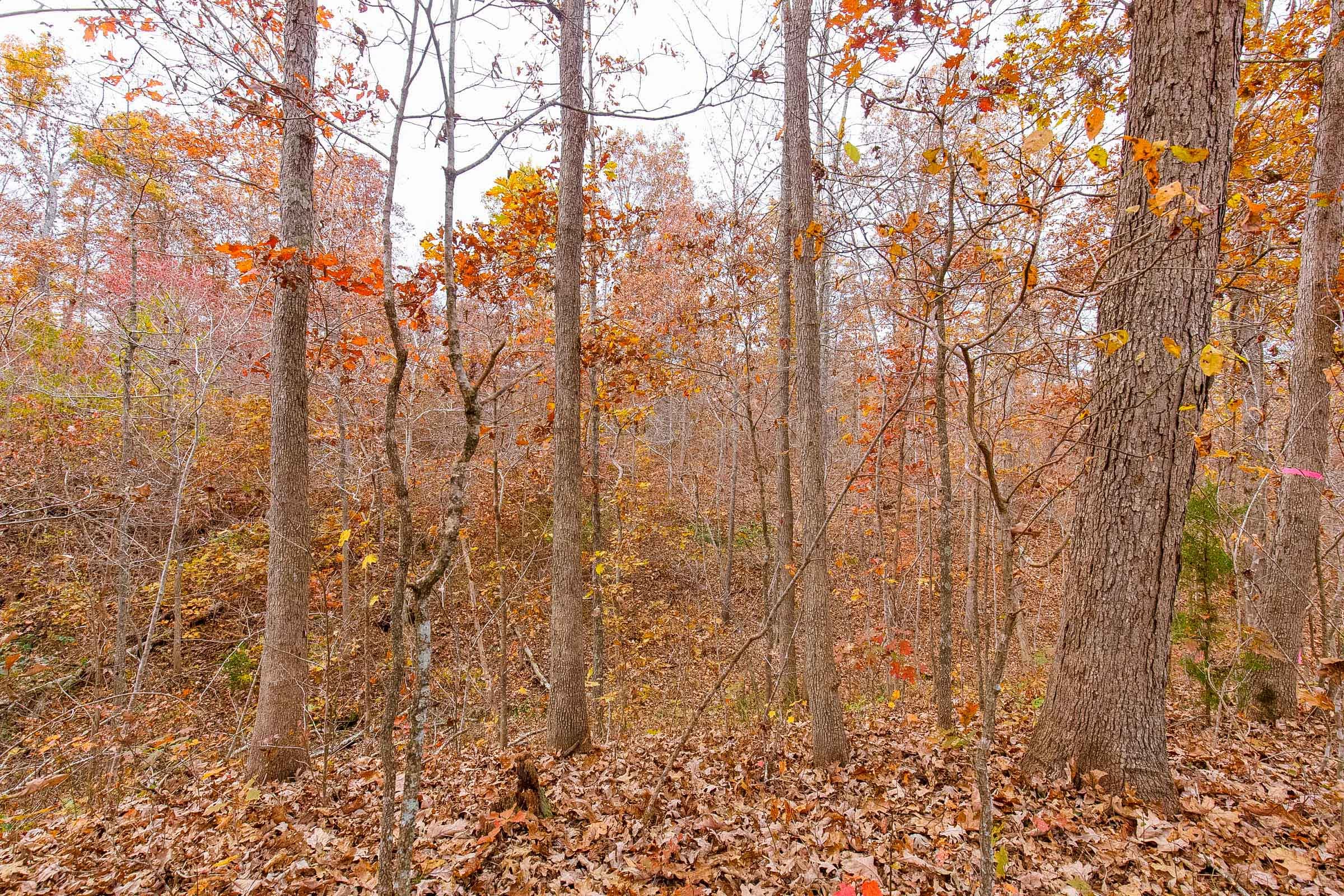 Hawkcrest Tract 9 photo 11