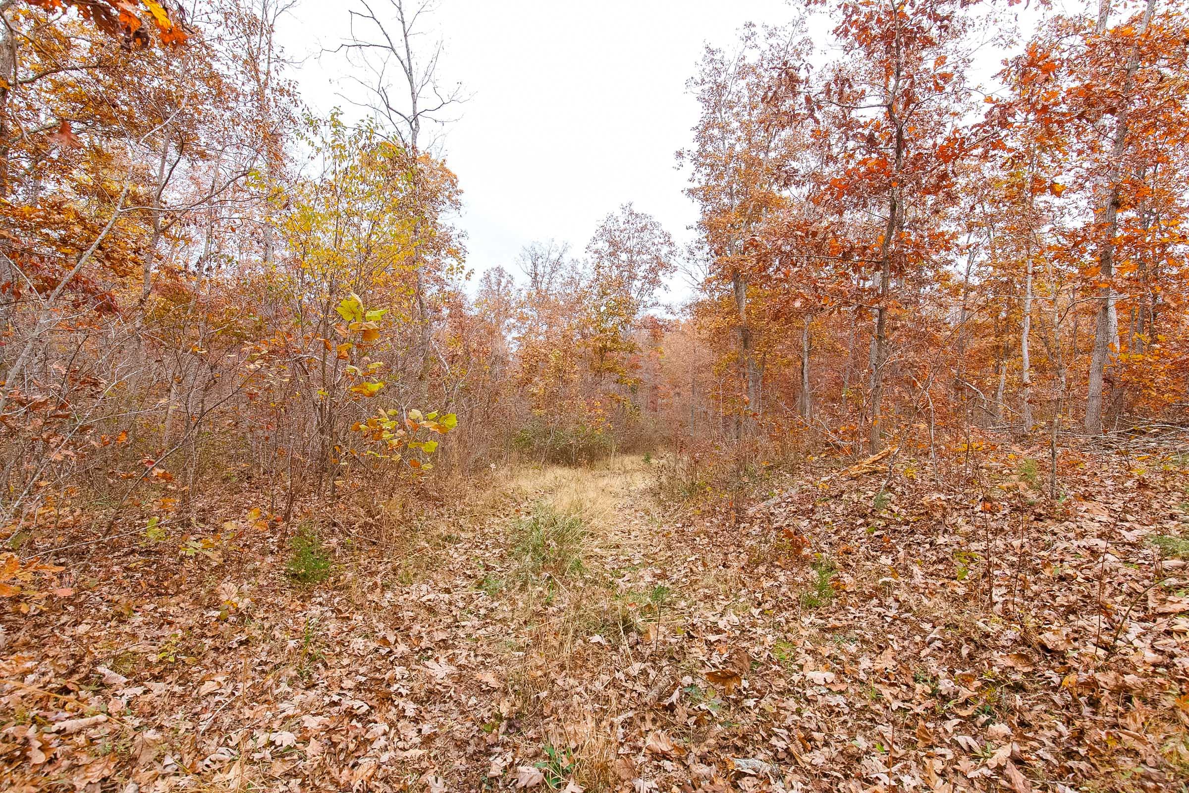 Hawkcrest Tract 9 photo 10