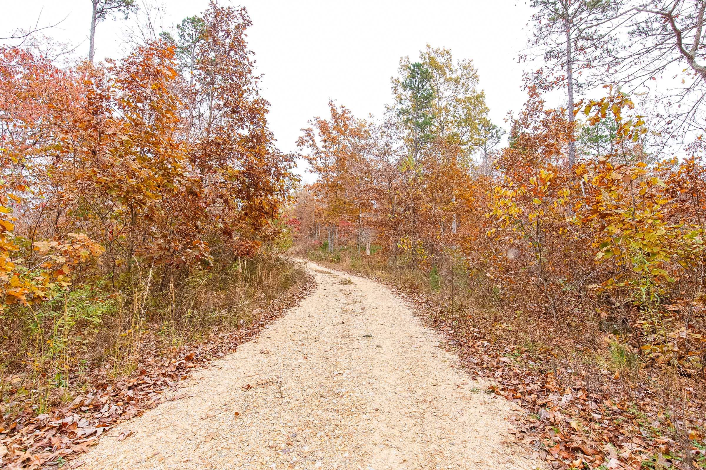 Hawkcrest Tract 9 photo 4