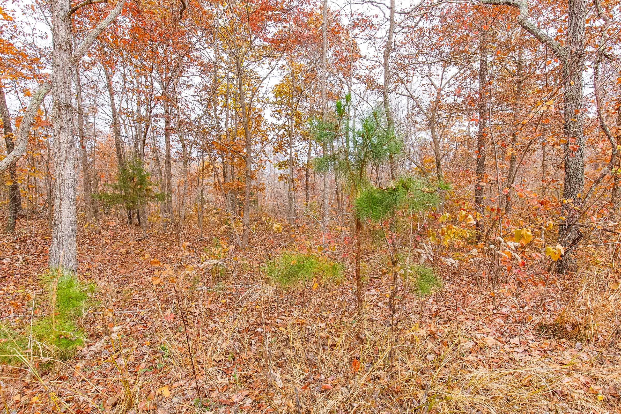 Hawkcrest Tract 9 photo 12
