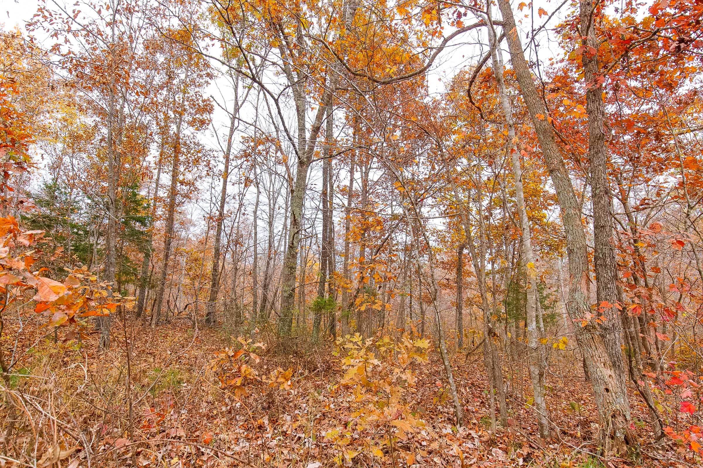 Hawkcrest Tract 9 photo 9