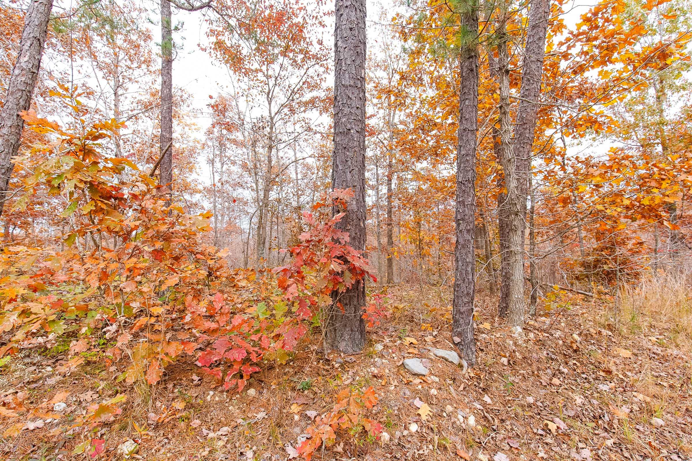 Hawkcrest Tract 9 photo 8