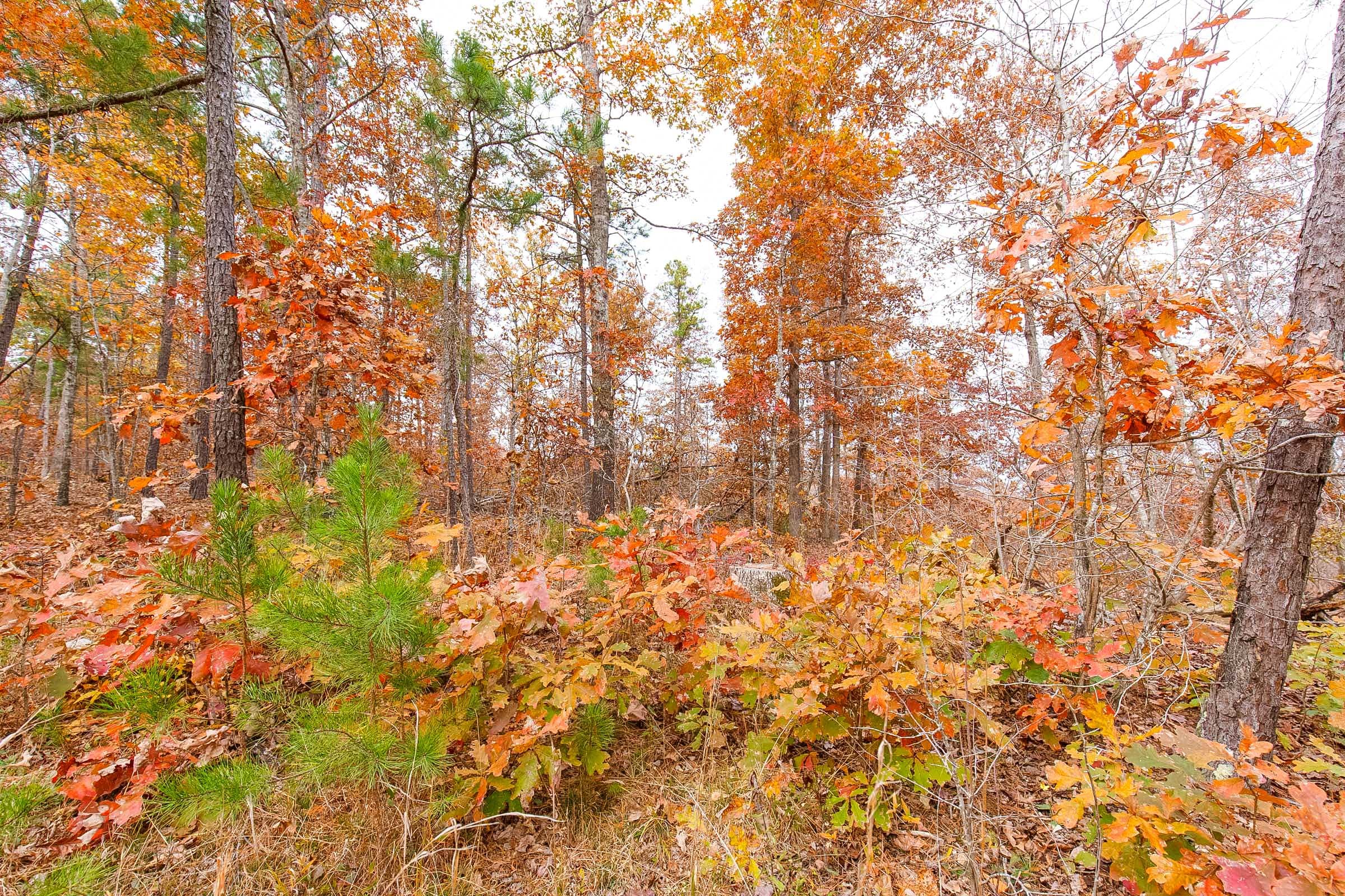 Hawkcrest Tract 9 photo 6