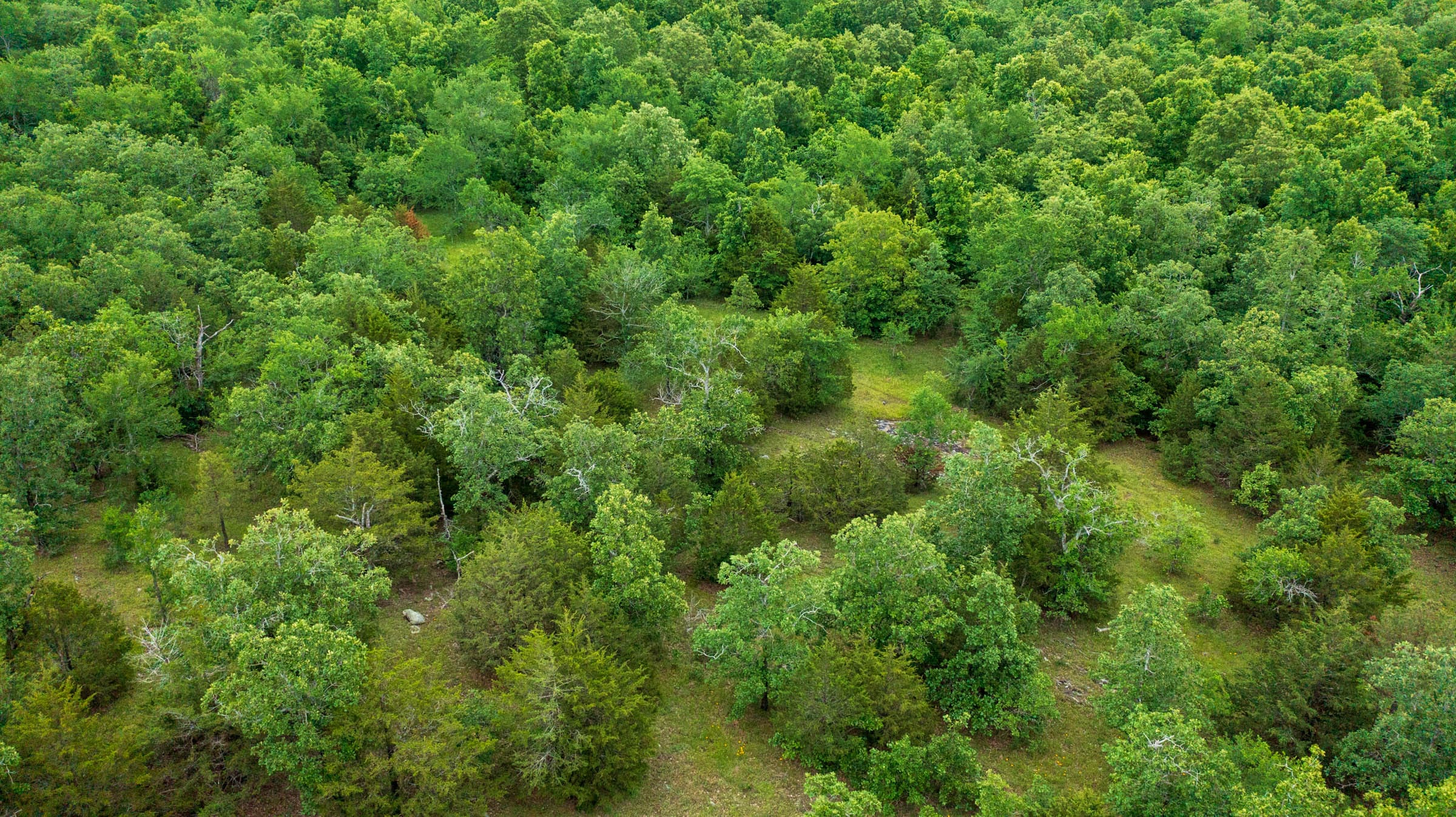 Falcon Crest Tract 18 photo 2