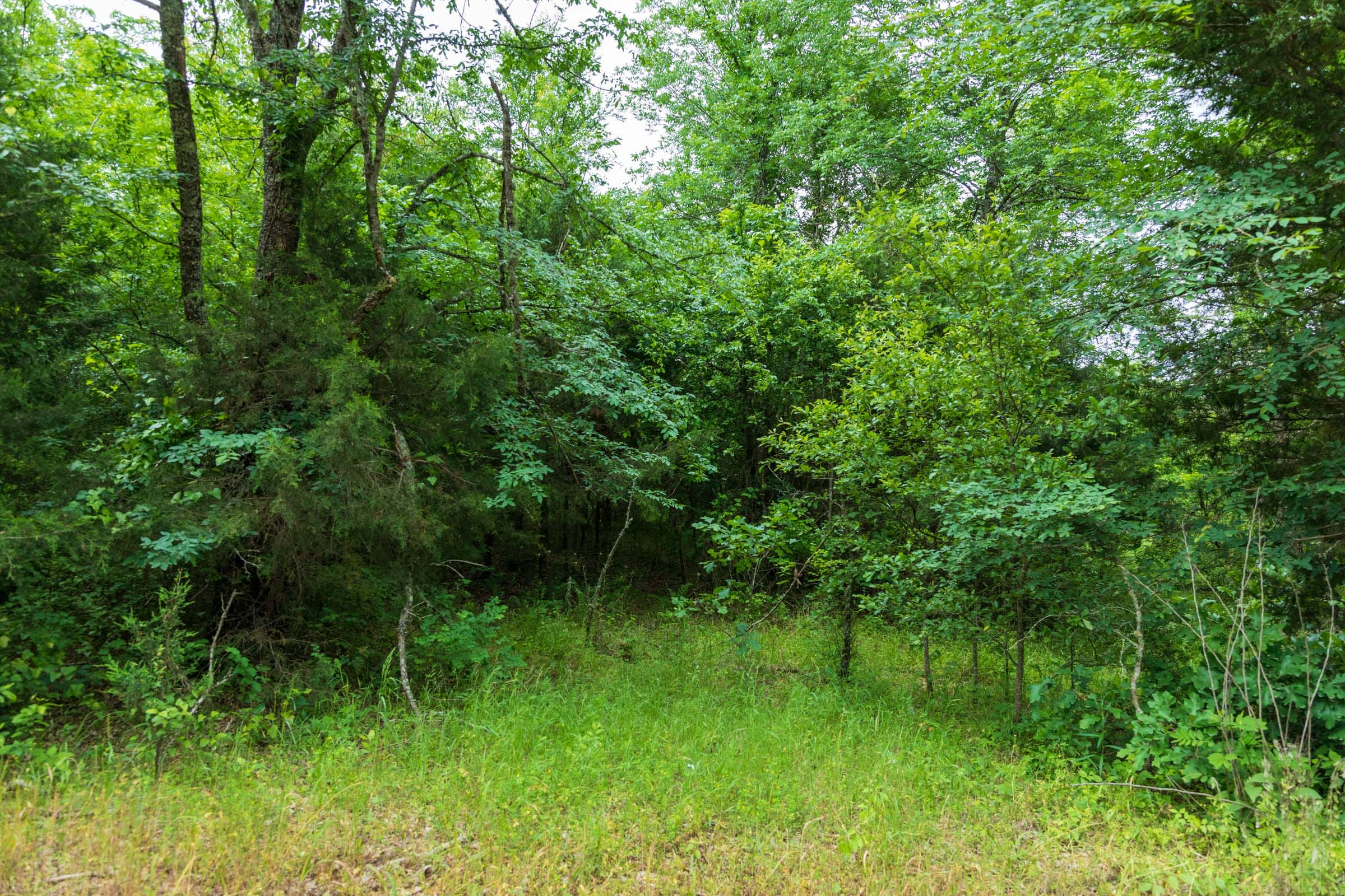 Falcon Crest Tract 18 photo 5