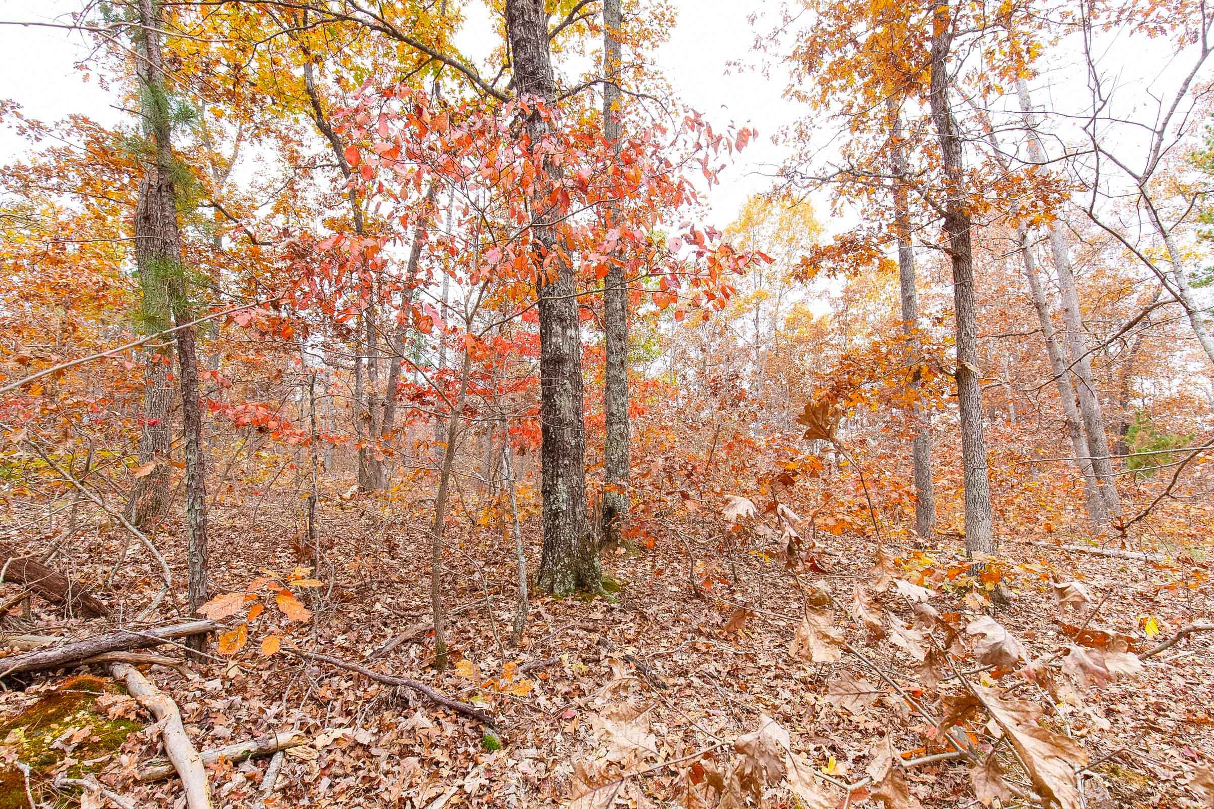 Hawkcrest Tract 17 photo 6