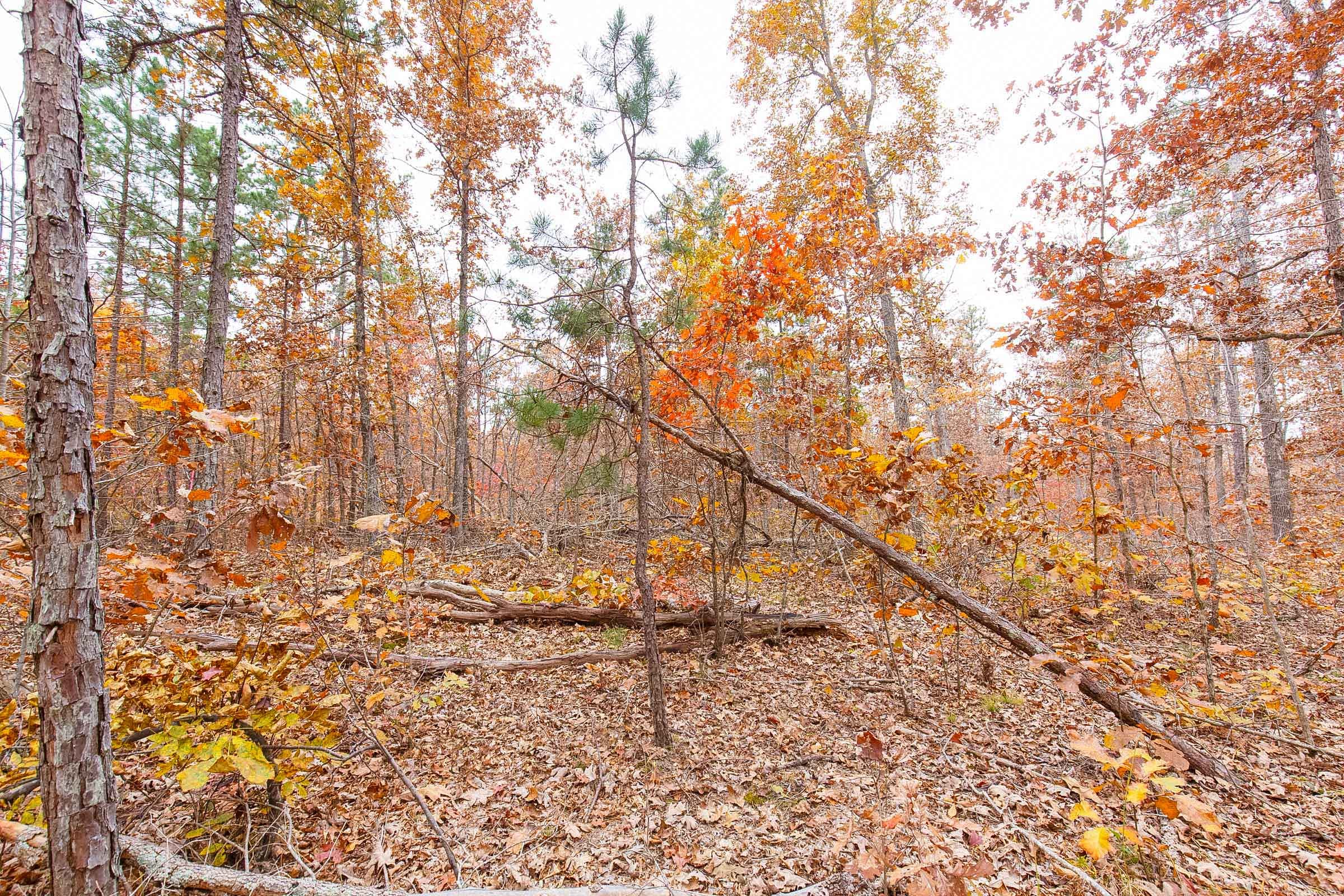Hawkcrest Tract 17 photo 3
