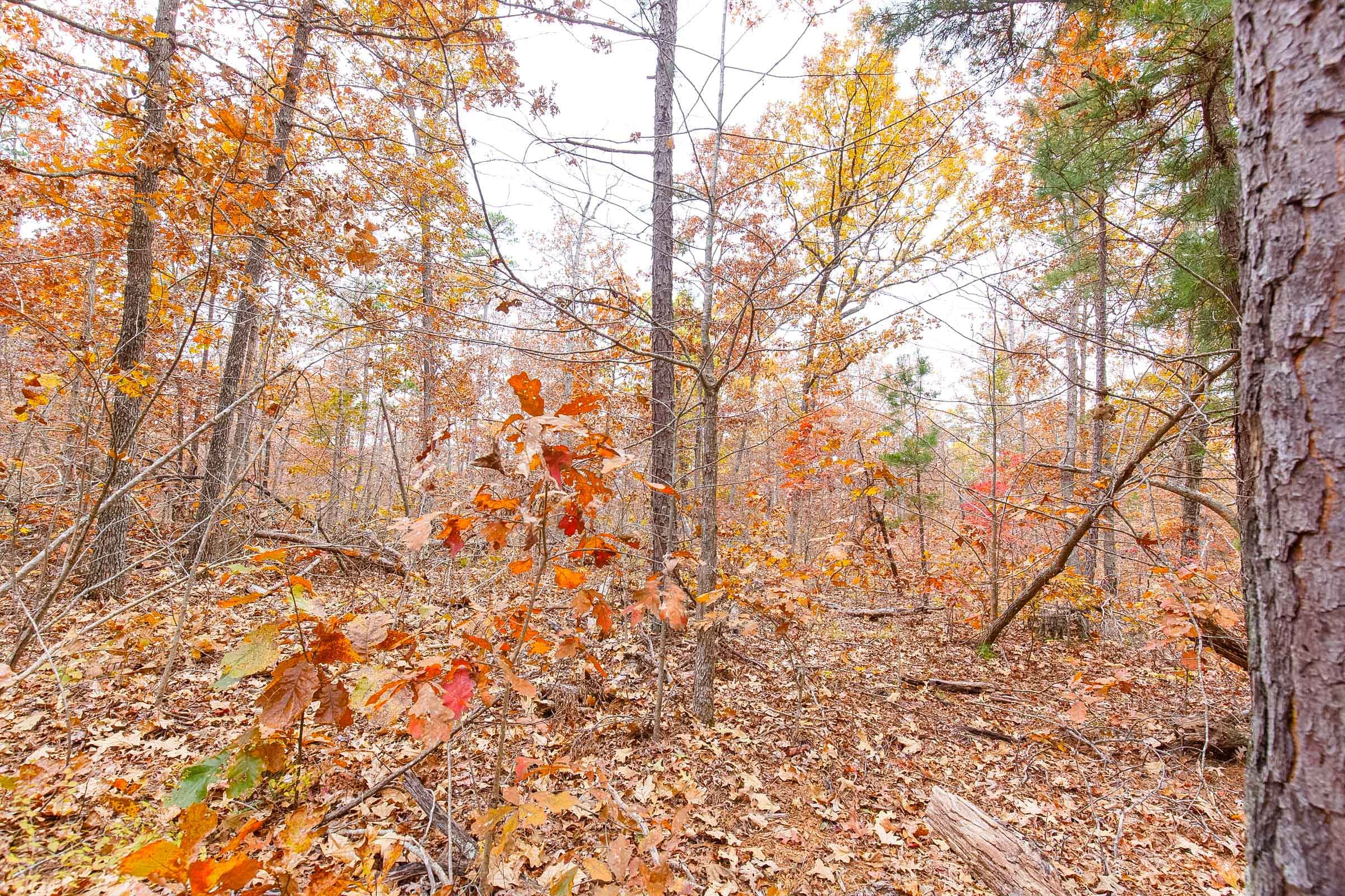 Hawkcrest Tract 17 photo 5