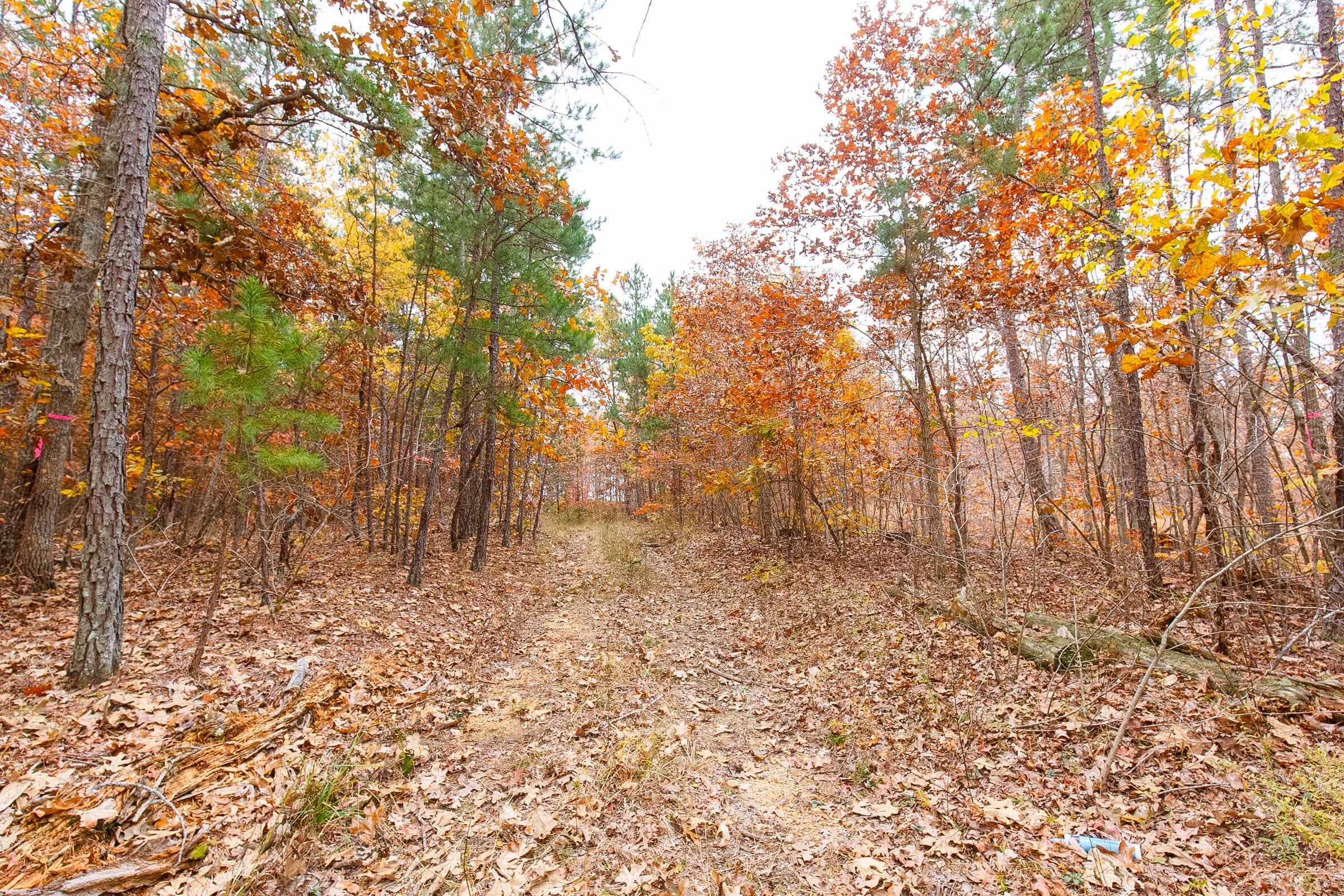Hawkcrest Tract 17 photo 1