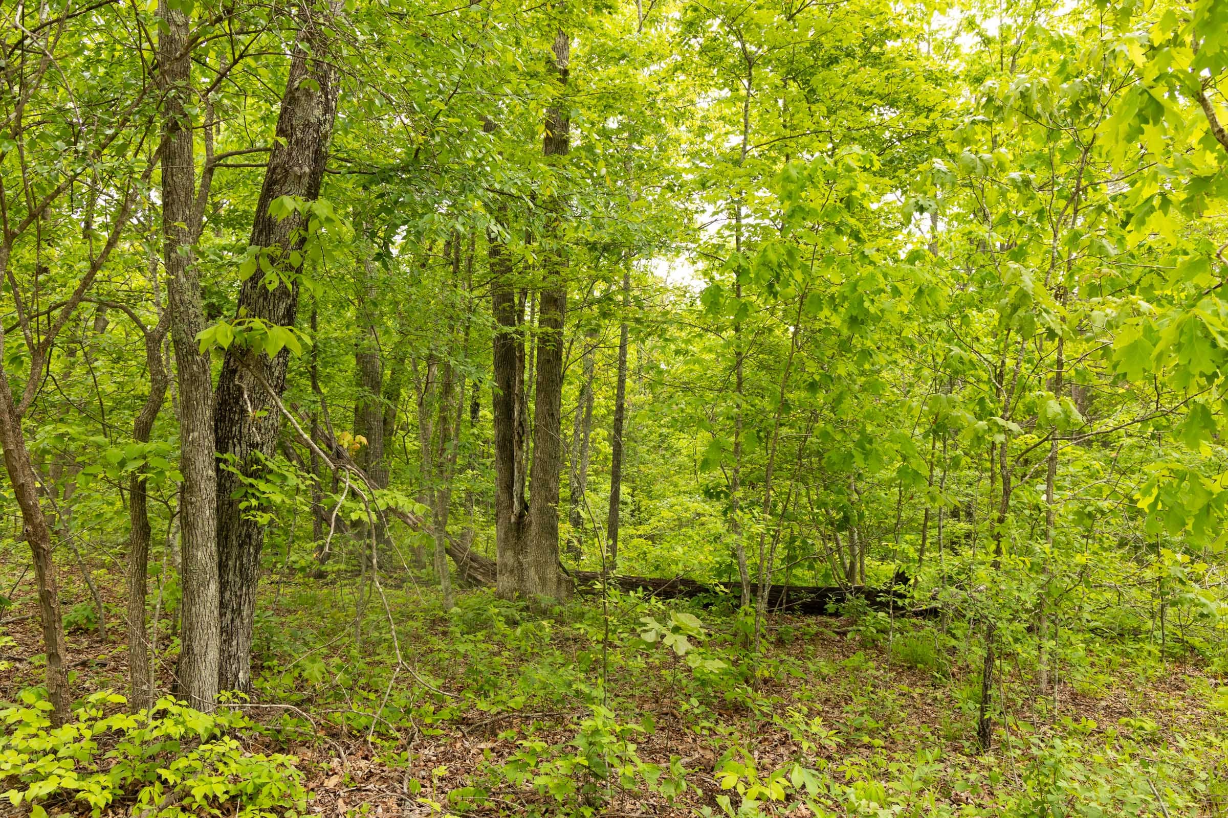 Stardust Estates Tract 15 photo 11