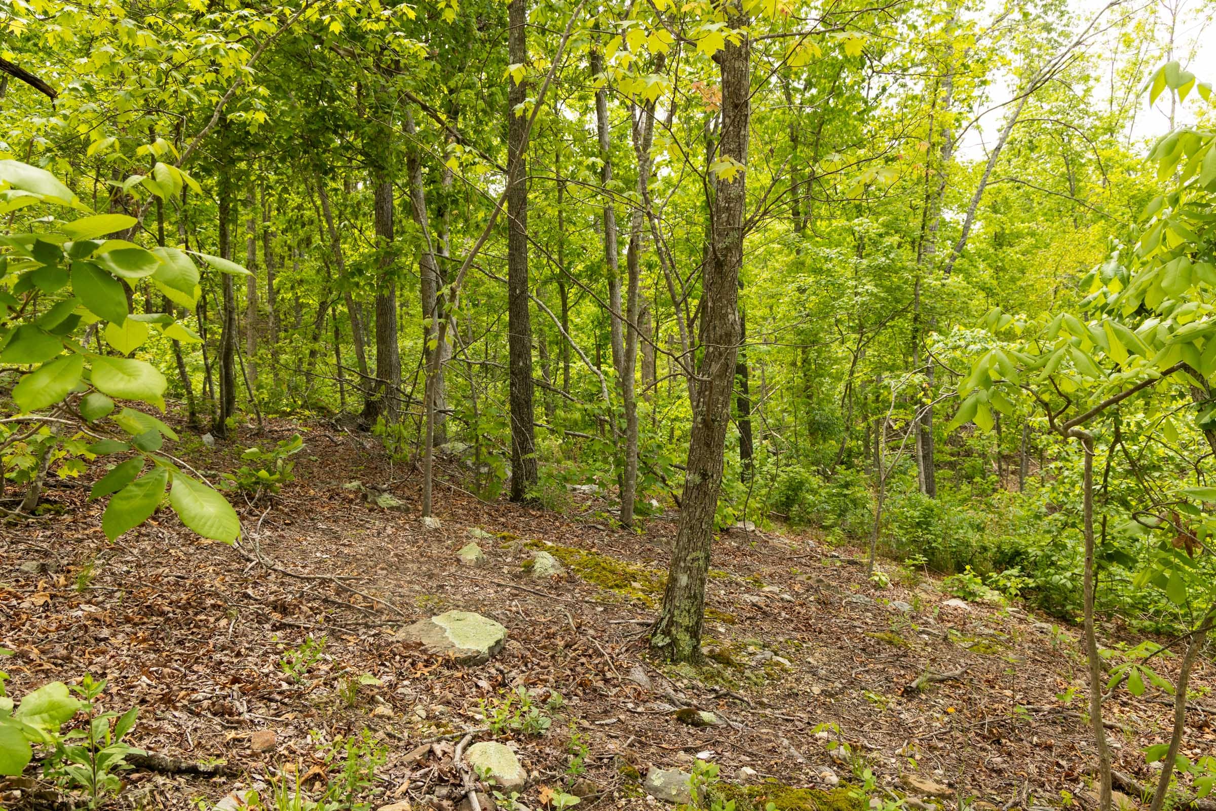 Stardust Estates Tract 15 photo 4