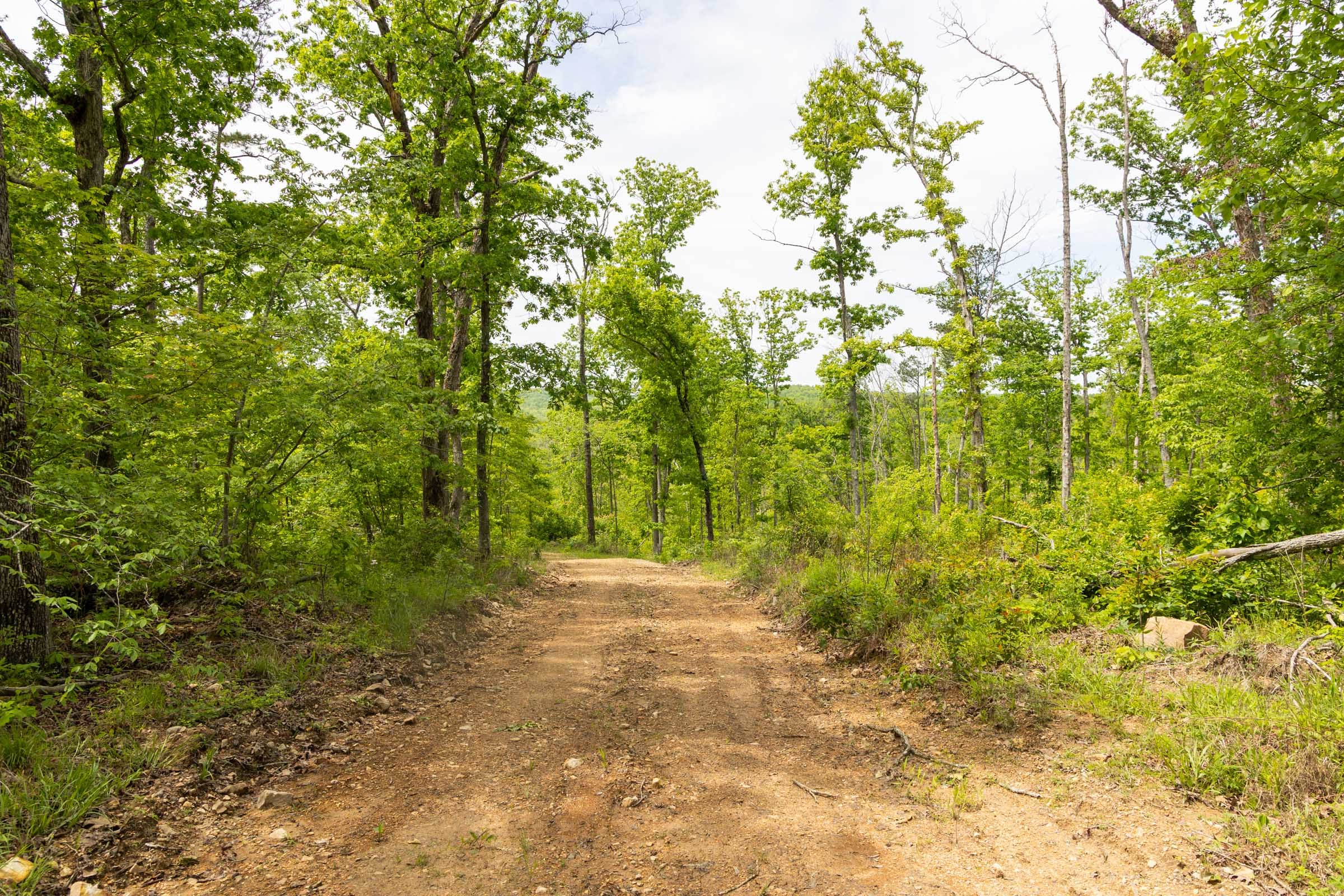 Stardust Estates Tract 15 photo 13