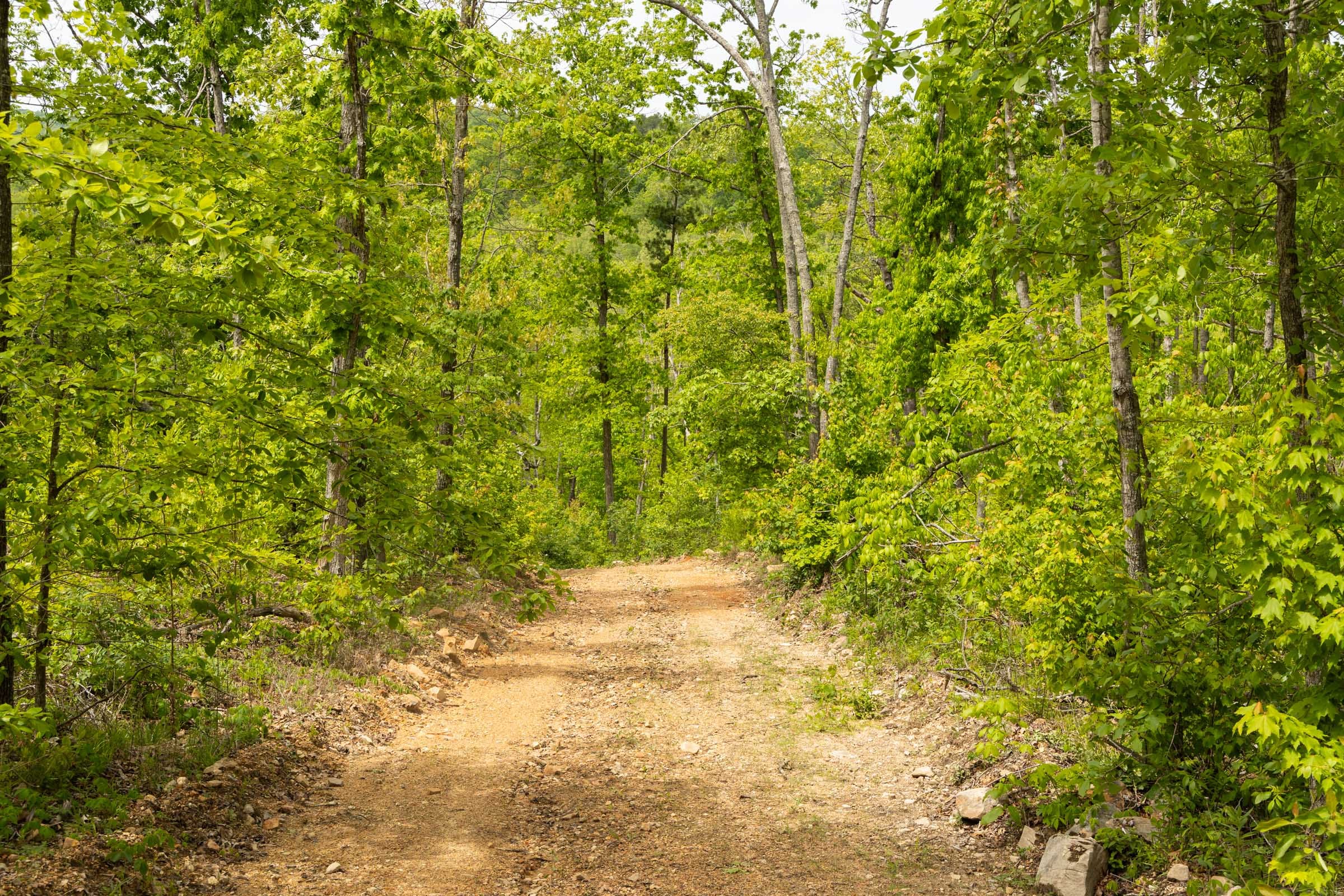 Stardust Estates Tract 15 photo 9