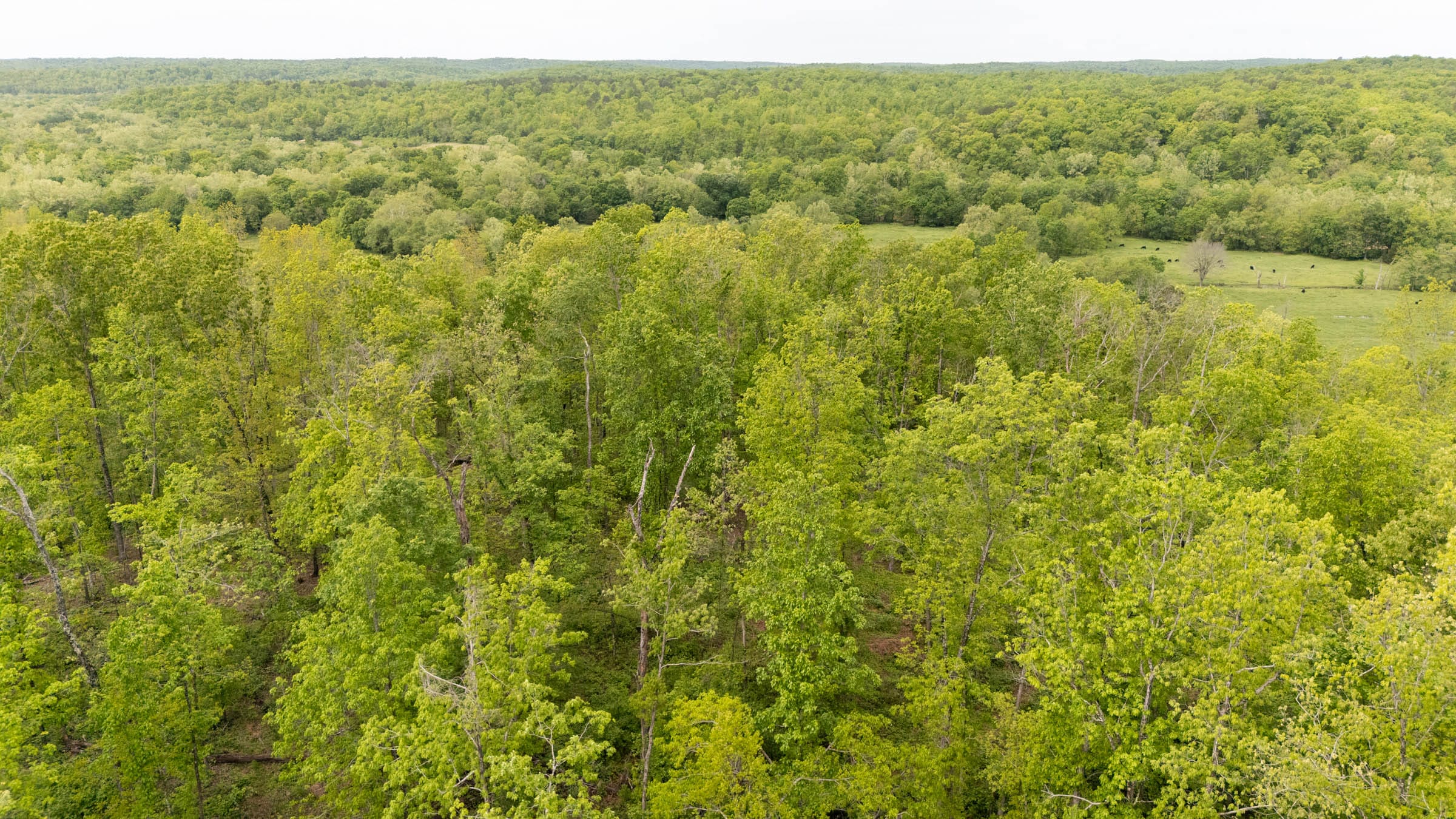 Stardust Estates Tract 15 photo 1