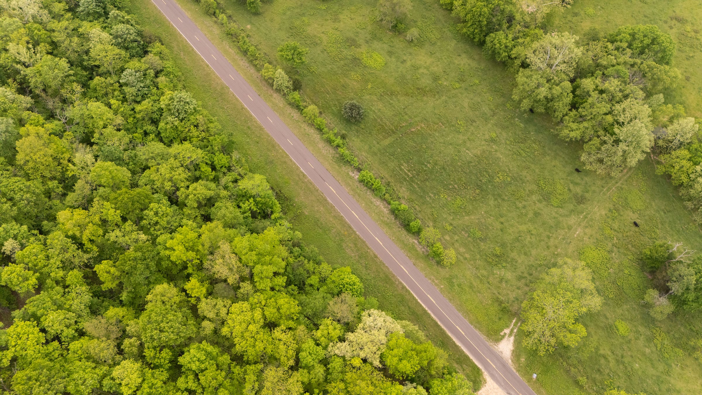 Stardust Estates Tract 15 photo 10