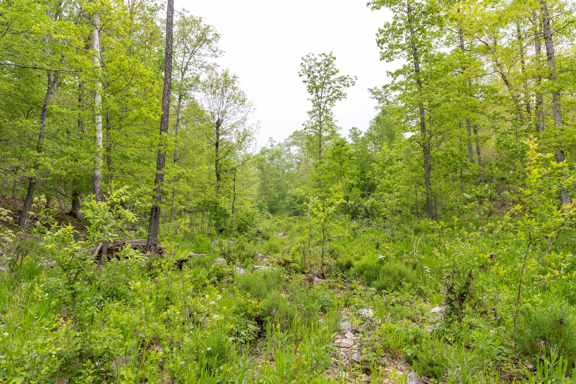 Sleepy Hollow Phase II Tract 99 photo 15