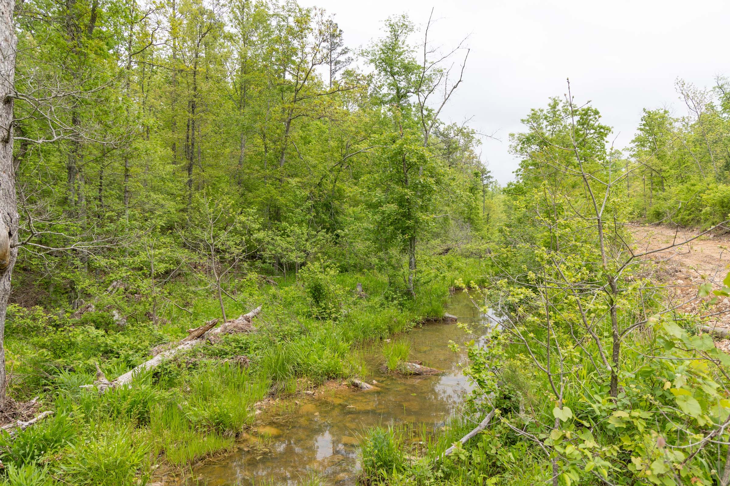 Sleepy Hollow Phase II Tract 99 photo 14