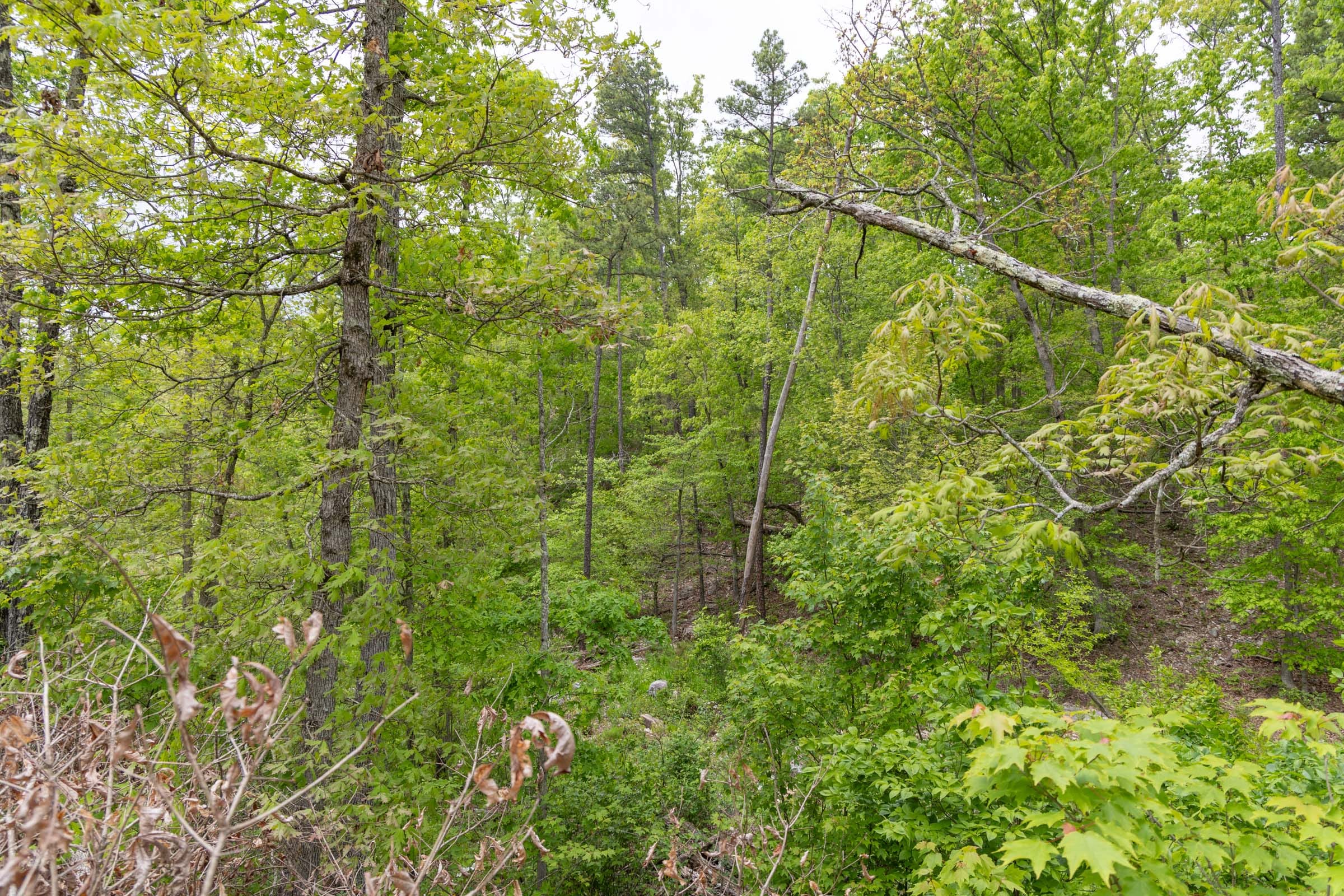Sleepy Hollow Phase II Tract 99 photo 13