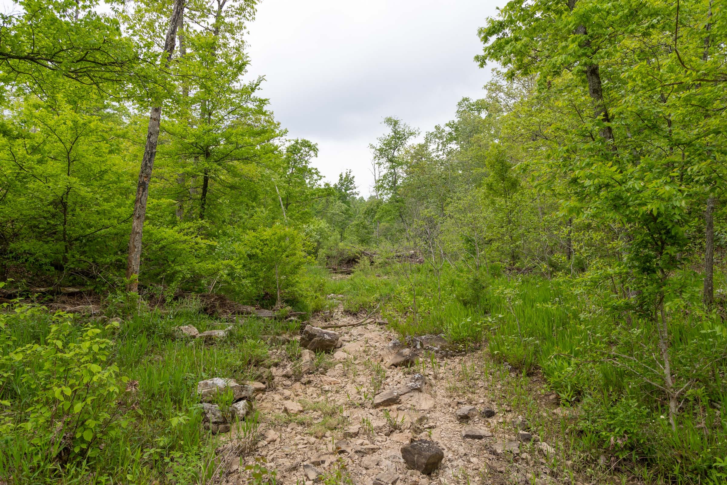 Sleepy Hollow Phase II Tract 99 photo 12