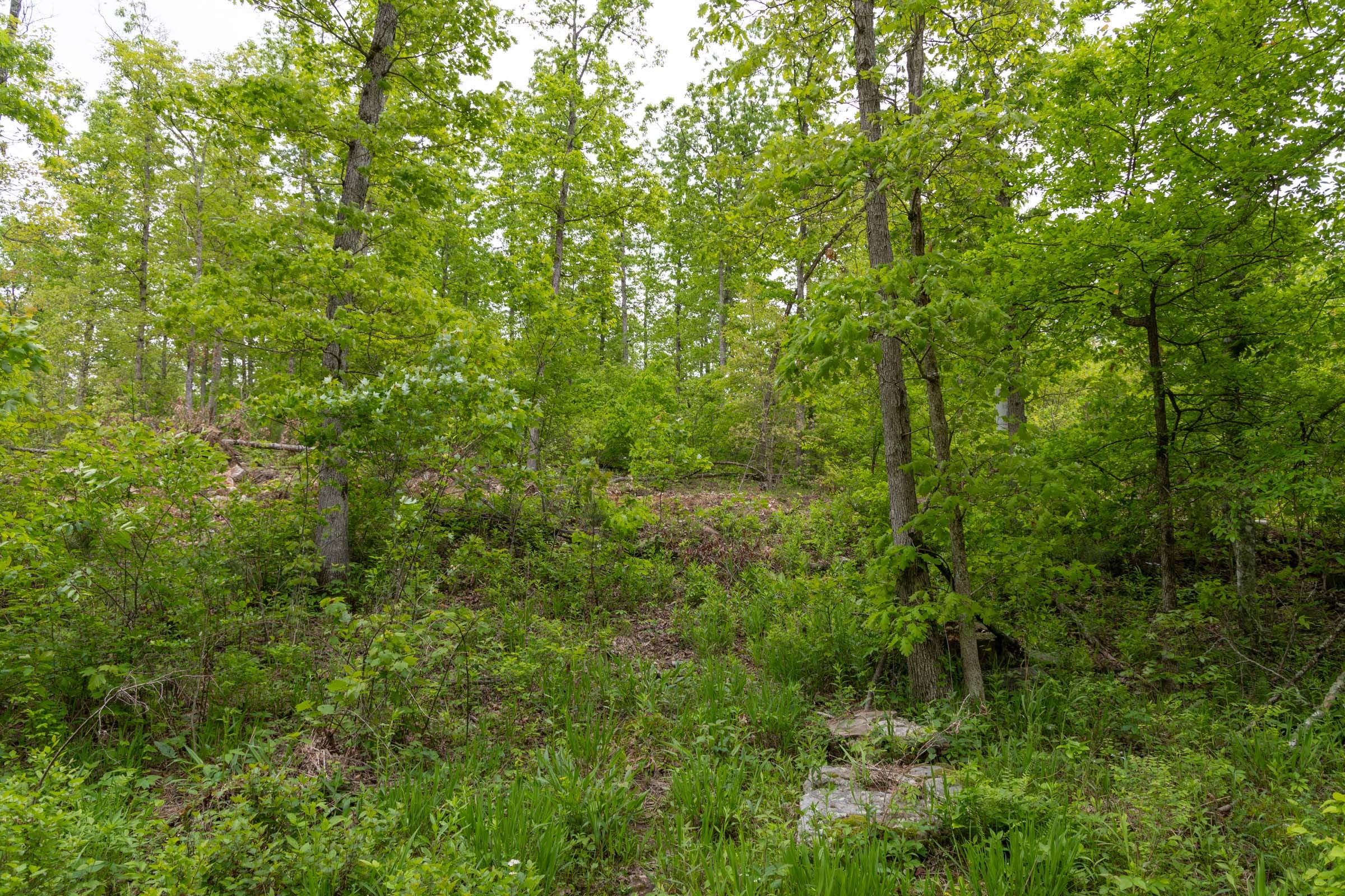 Sleepy Hollow Phase II Tract 99 photo 11