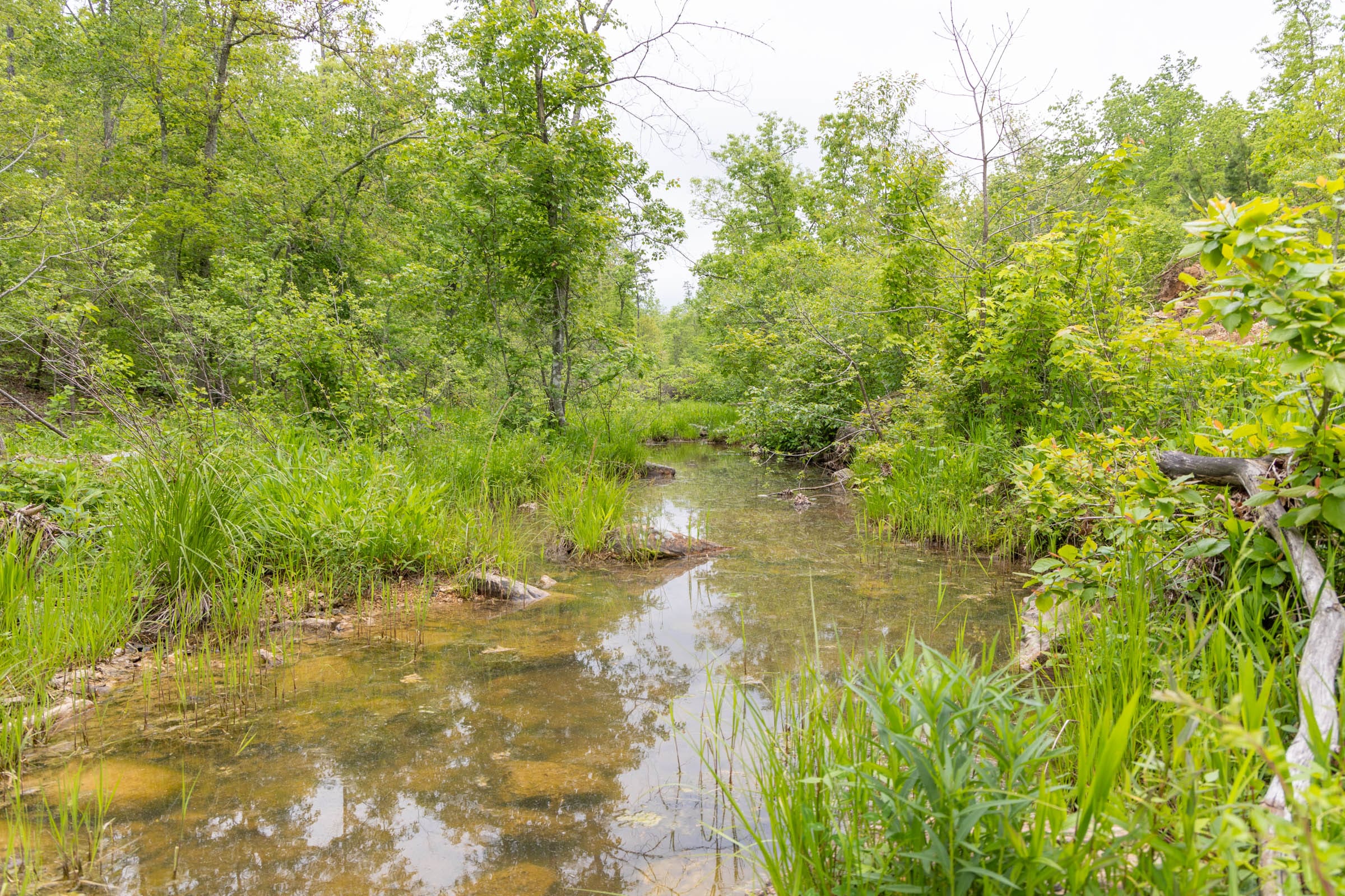 Sleepy Hollow Phase II Tract 99 photo 10
