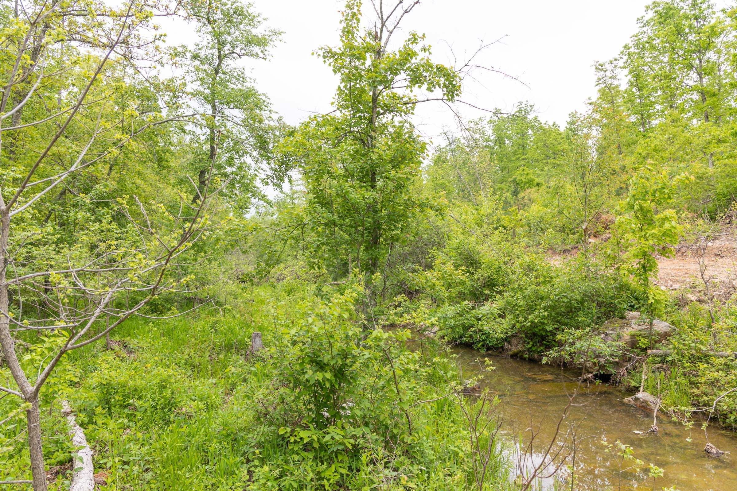 Sleepy Hollow Phase II Tract 99 photo 9