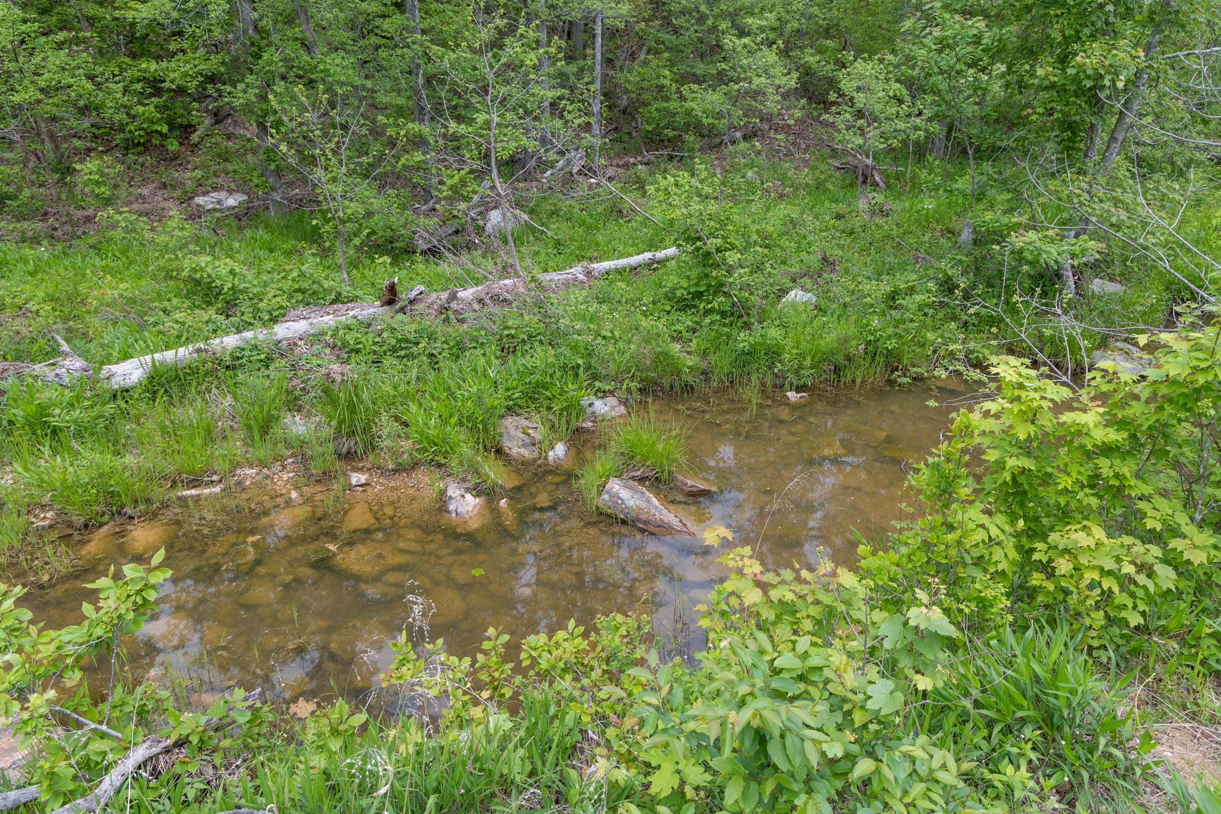 Sleepy Hollow Phase II Tract 99 photo 1