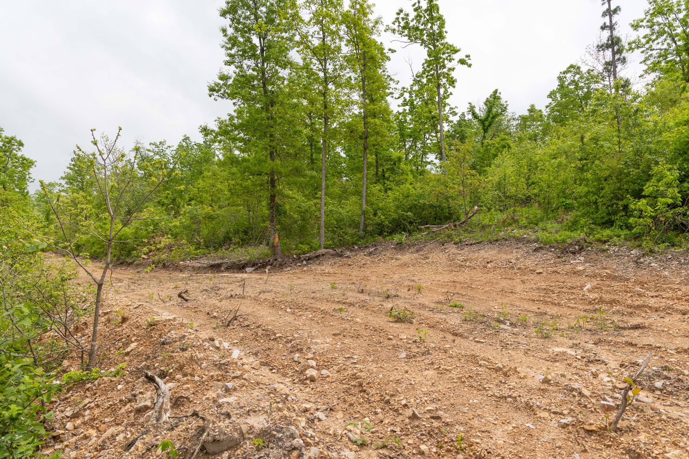 Sleepy Hollow Phase II Tract 99 photo 8