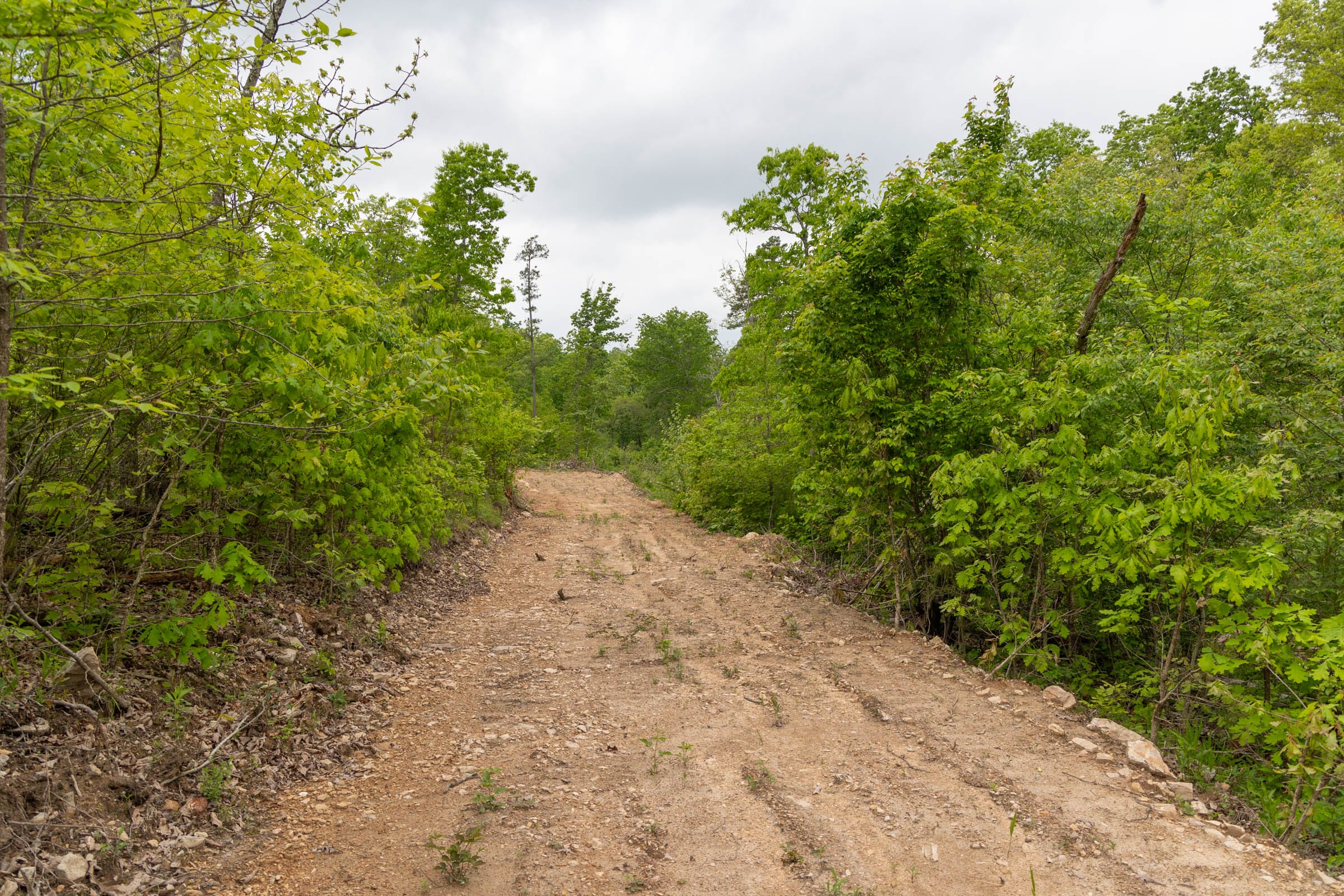 Sleepy Hollow Phase II Tract 99 photo 3