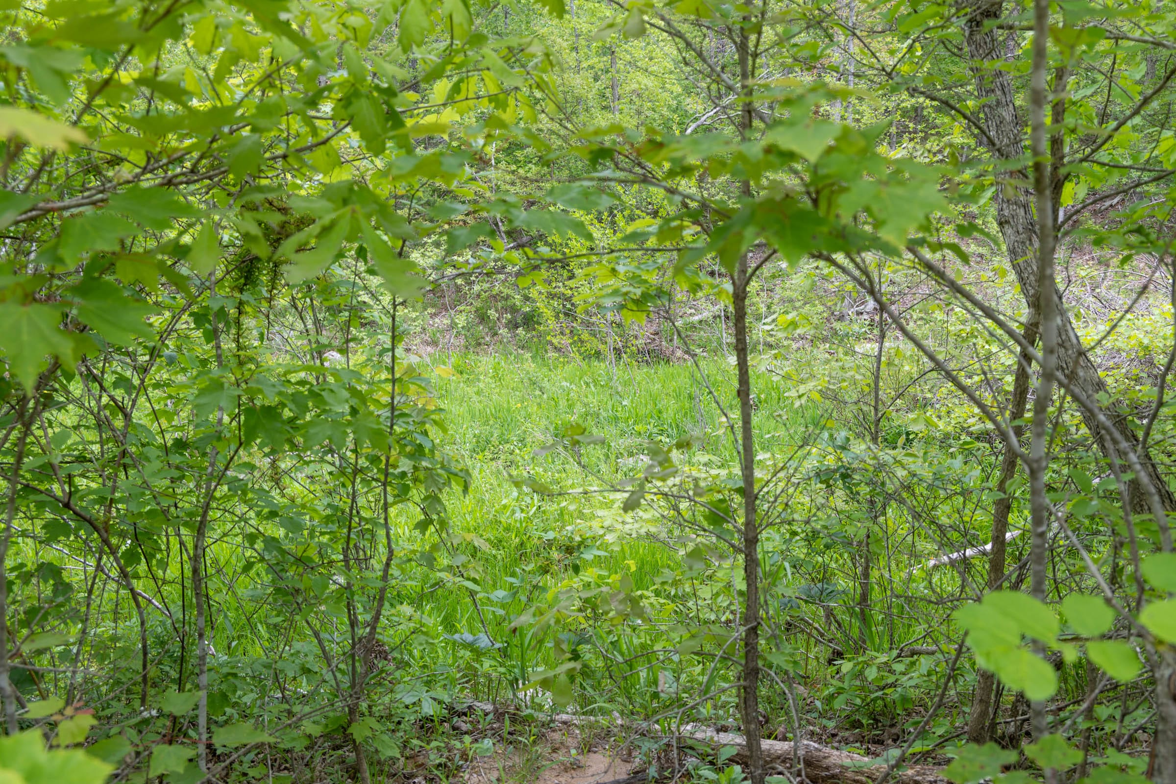 Sleepy Hollow Phase II Tract 99 photo 6