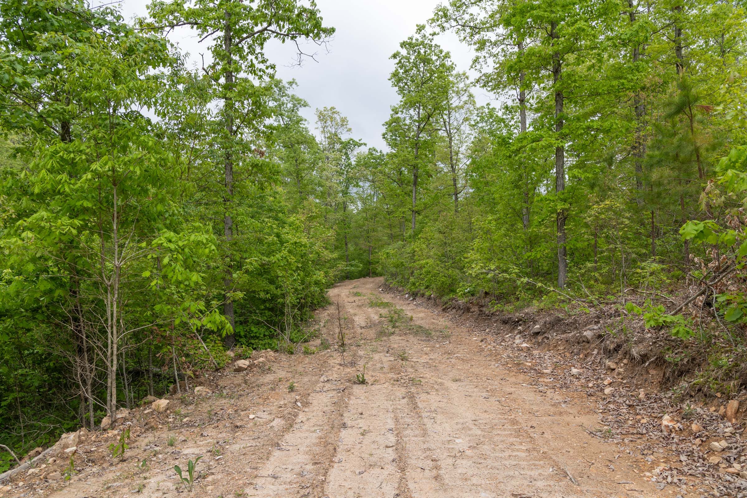 Sleepy Hollow Phase II Tract 99 photo 2