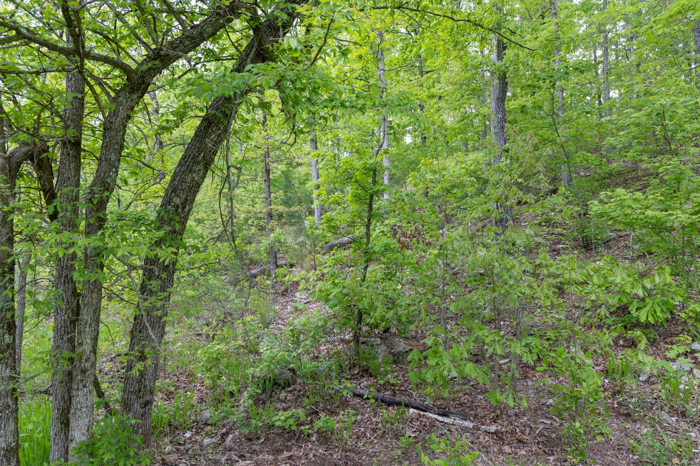 Sleepy Hollow Phase II Tract 99 photo 4