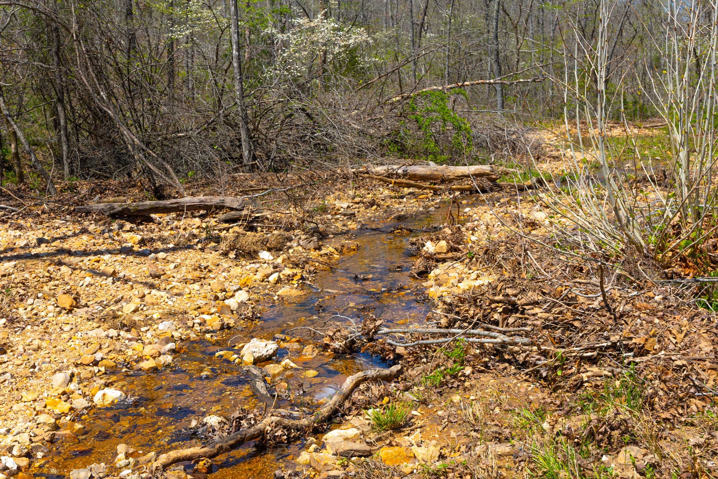 Lazybrook Tract 19 photo 10