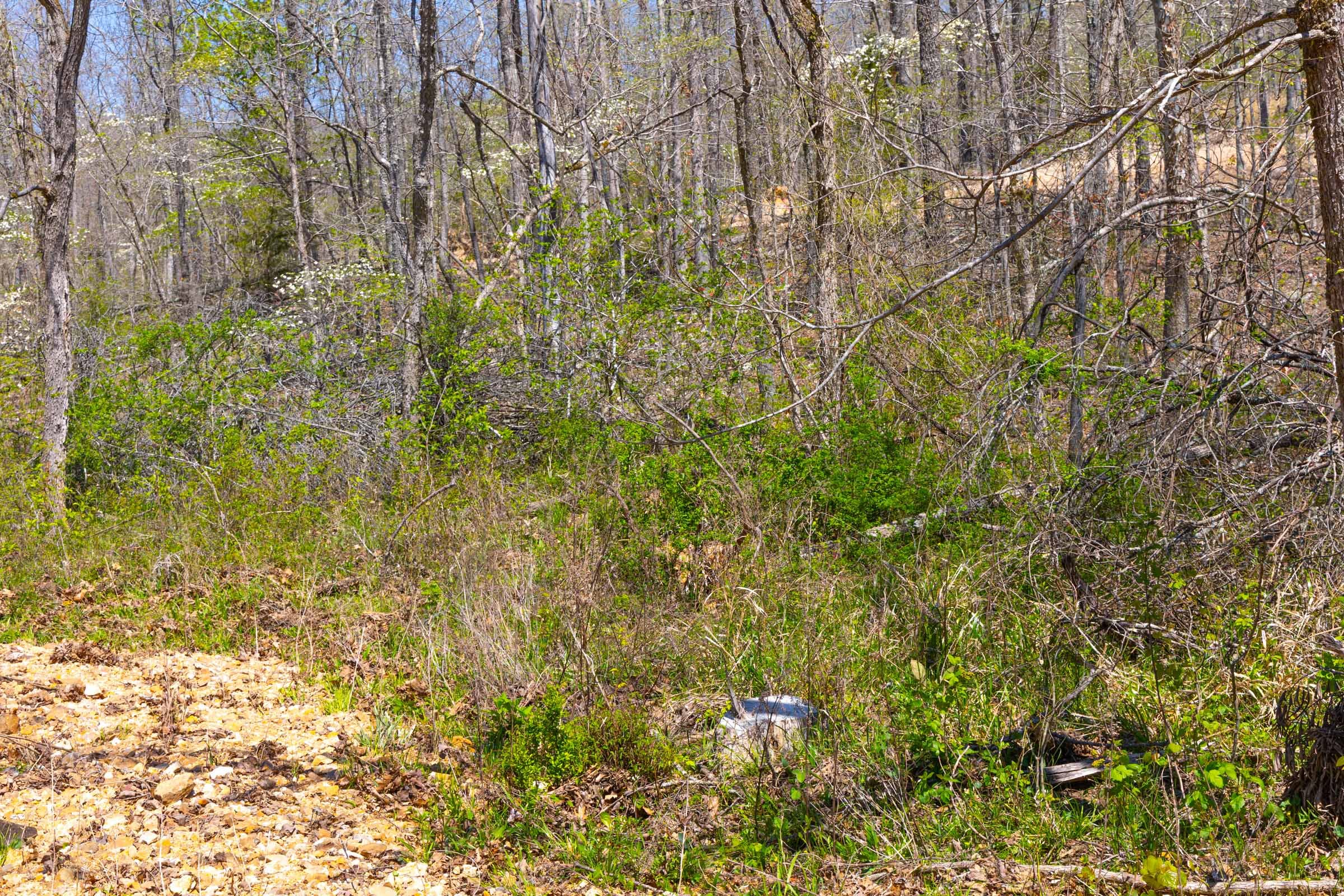 Lazybrook Tract 19 photo 9