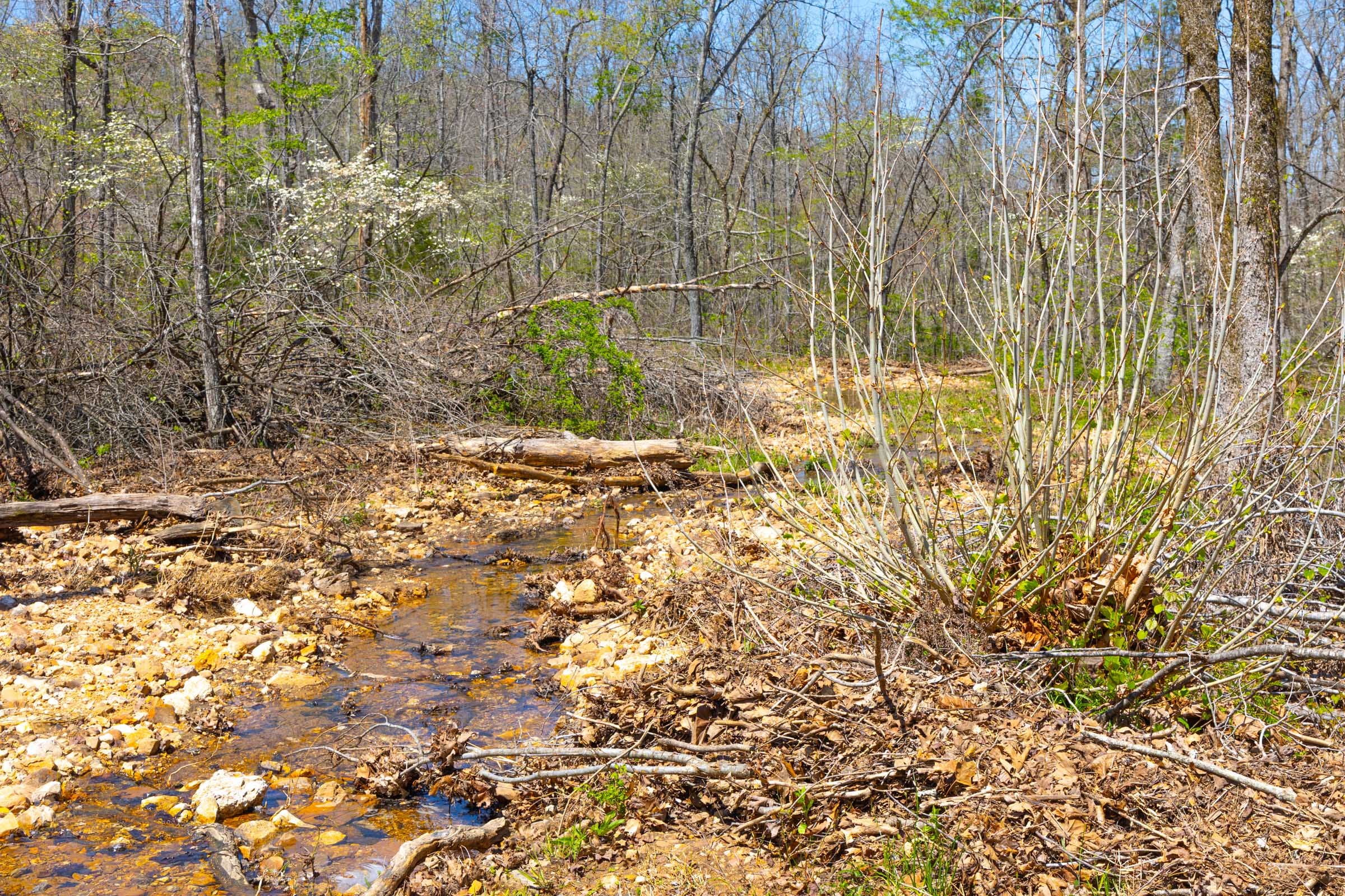 Lazybrook Tract 19 photo 8