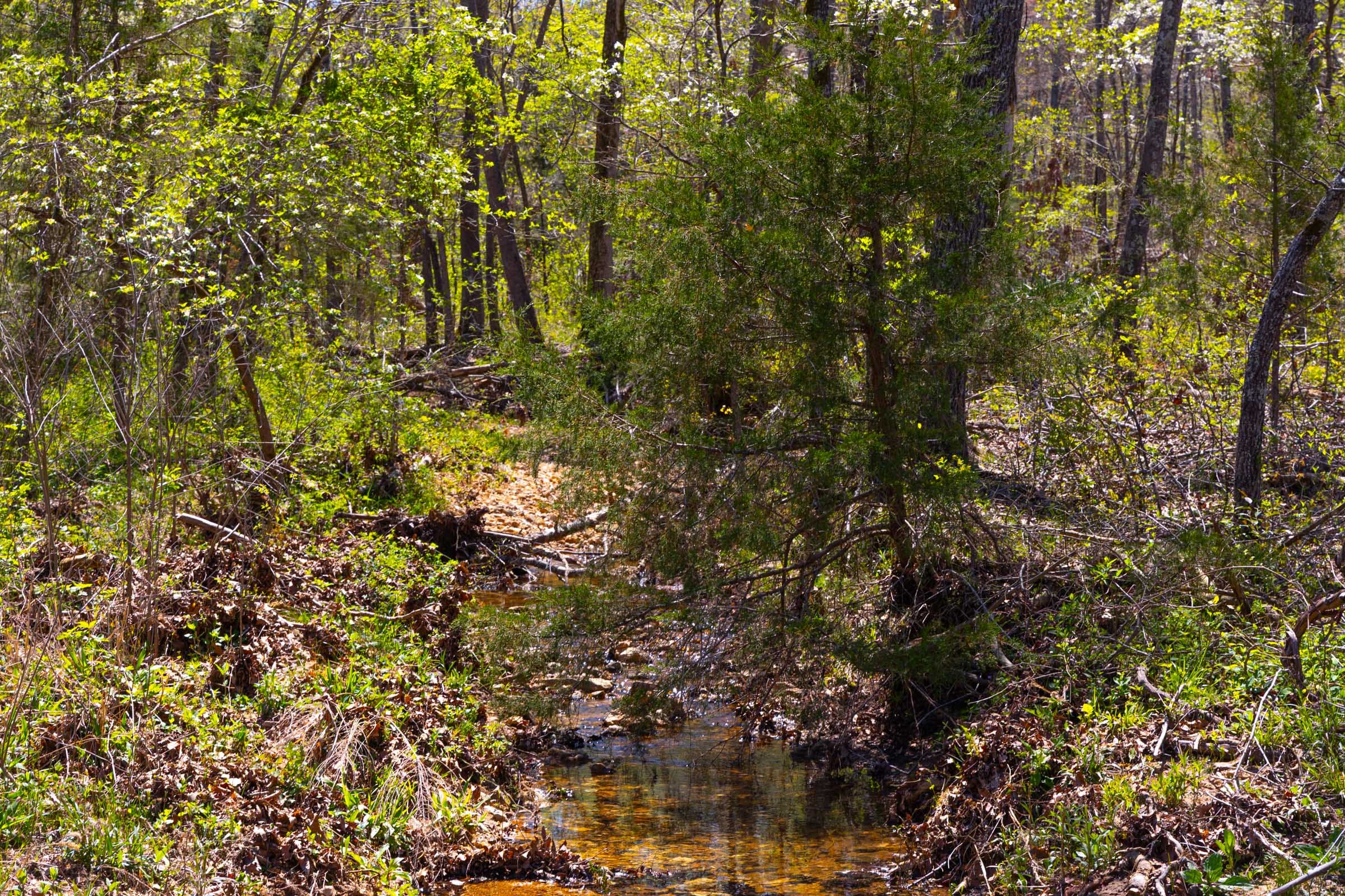 Lazybrook Tract 19 photo 7