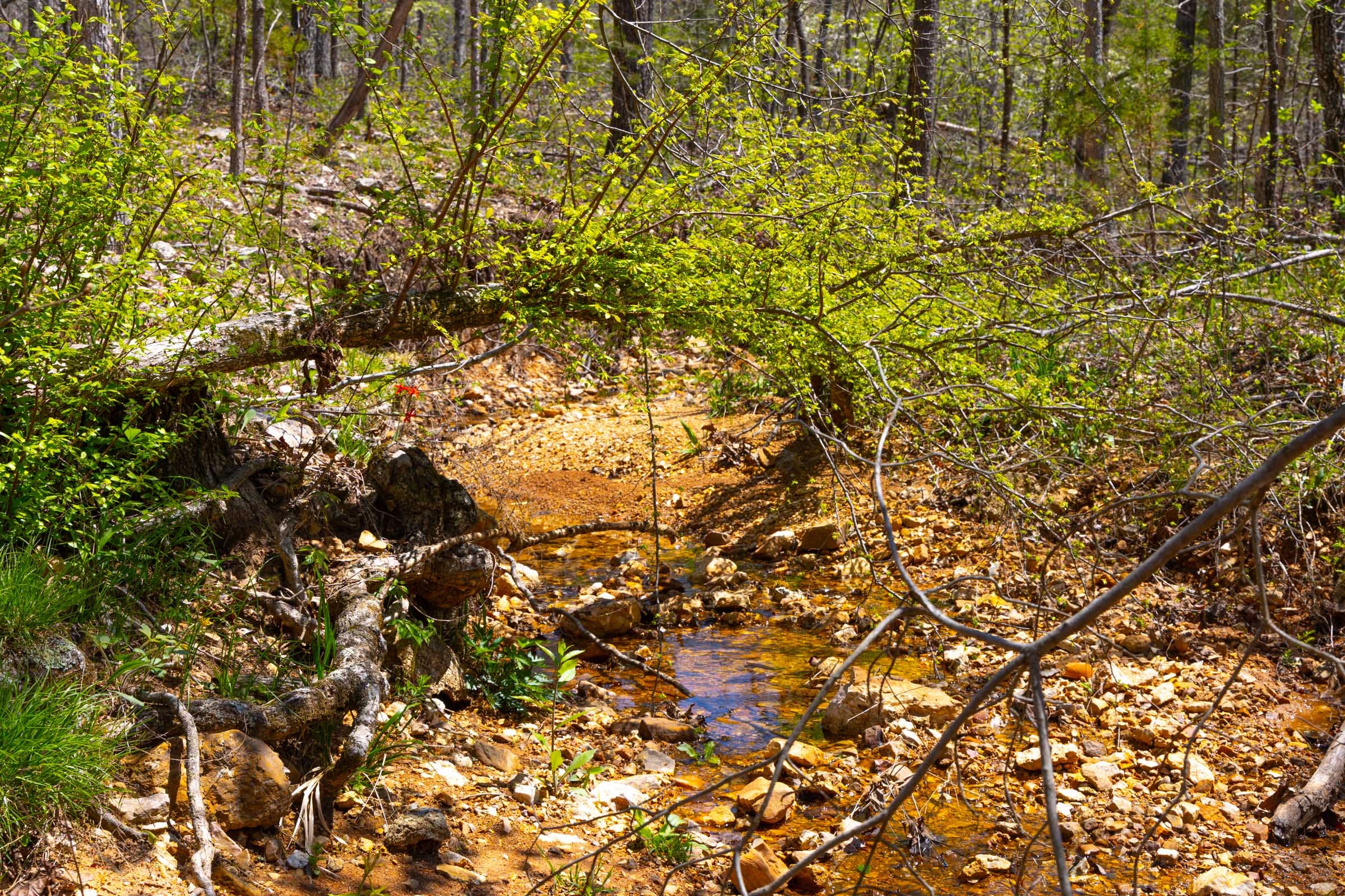 Lazybrook Tract 19 photo 5