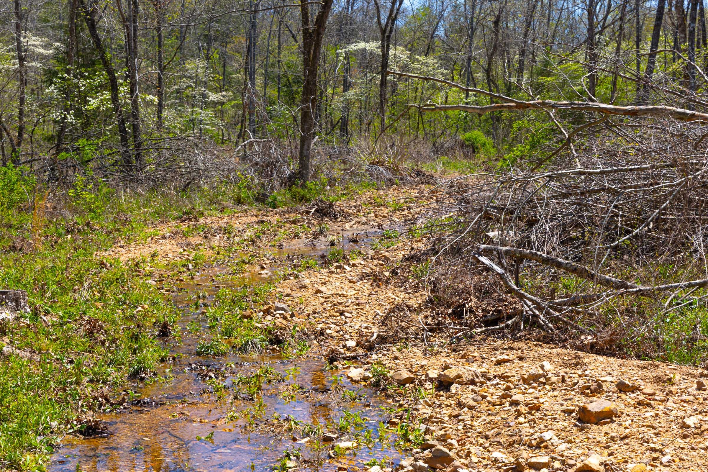 Lazybrook Tract 19 photo 3