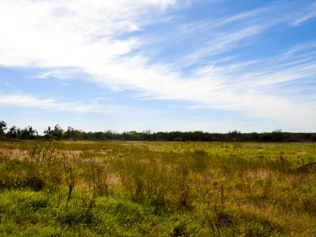 Saddlebrook Ranch Tract 13 photo 2