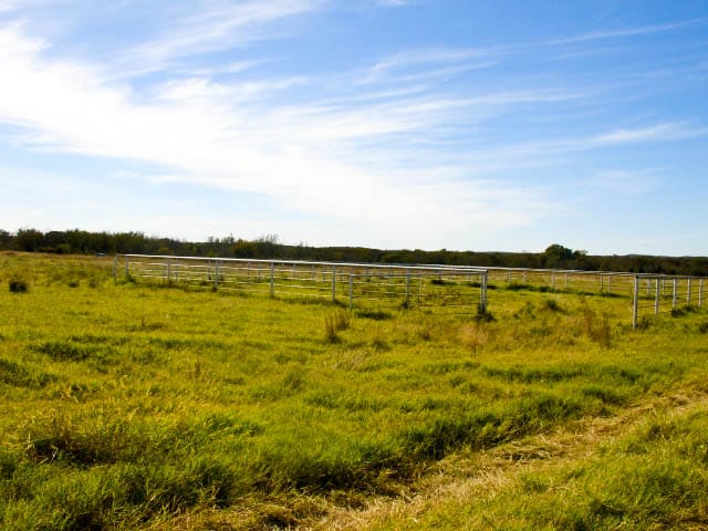 Saddlebrook Ranch Tract 13 photo 4
