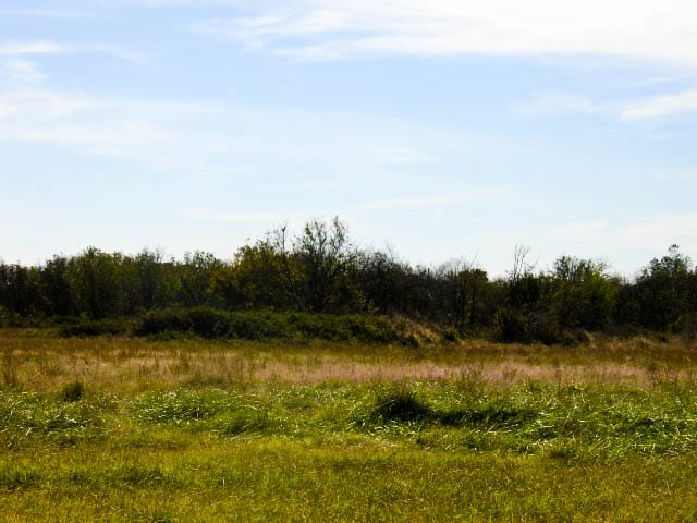 Saddlebrook Ranch Tract 13 photo 5