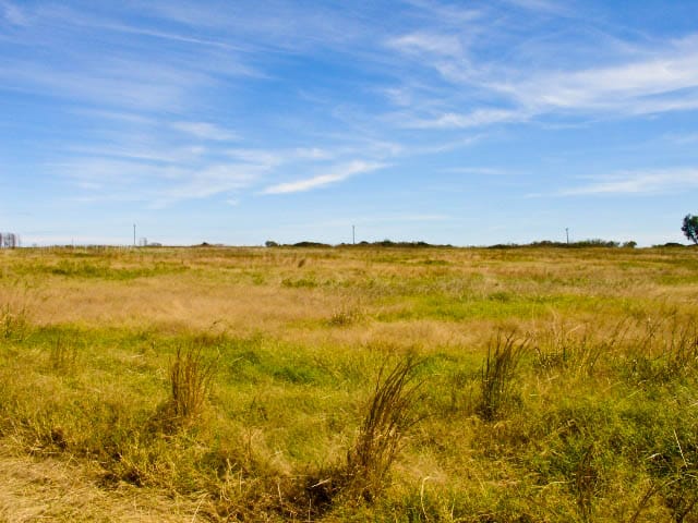 Saddlebrook Ranch Tract 13 photo 6