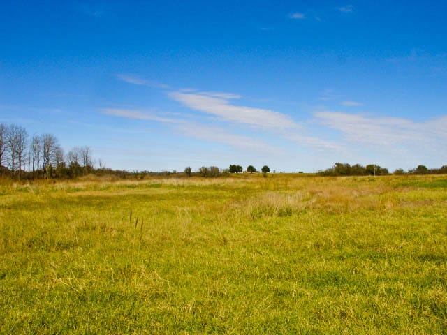 Saddlebrook Ranch Tract 13 photo 7