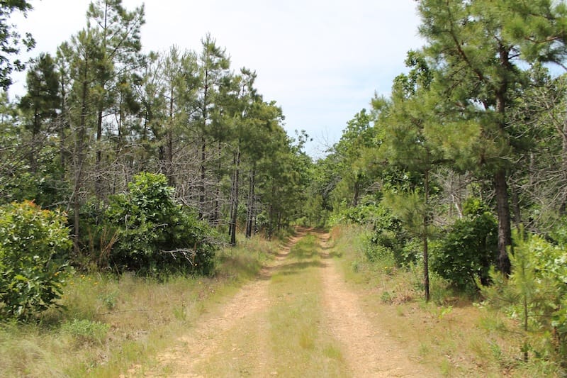 Indian Ridge – Phase II Tract 52 photo 2