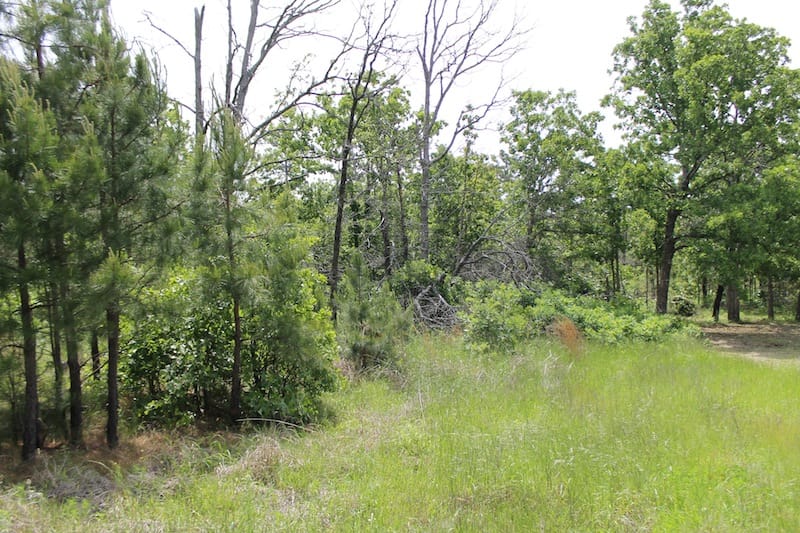 Indian Ridge – Phase II Tract 52 photo 8