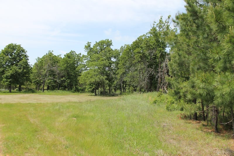 Indian Ridge – Phase II Tract 52 photo 10